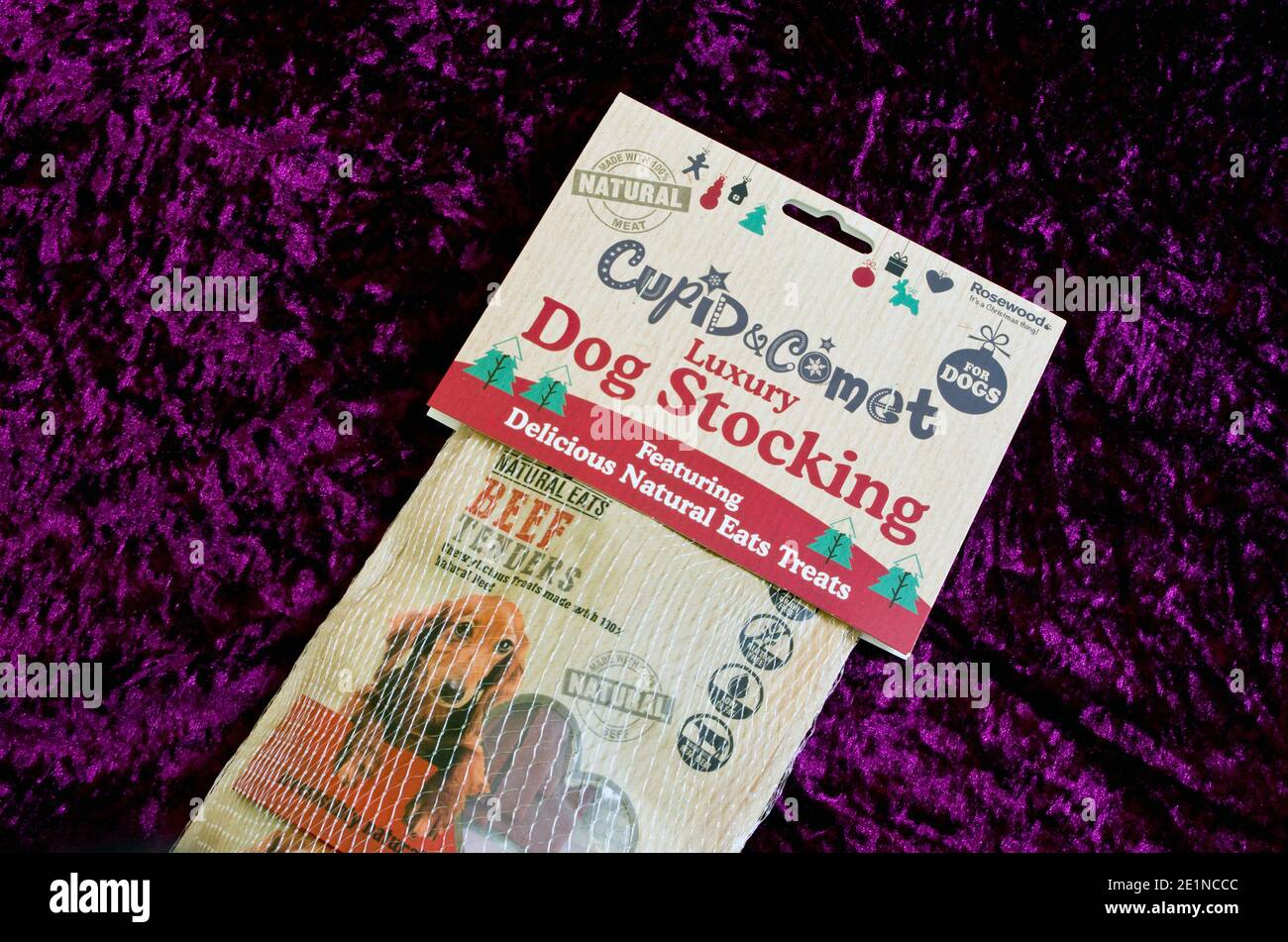 Weihnachten oder Weihnachten Pet Dog Treats Strumpf, Großbritannien Stockfoto