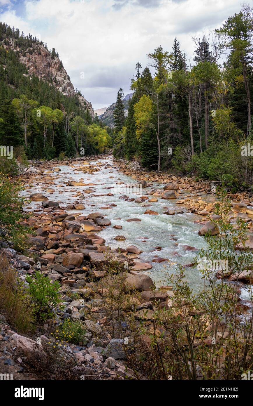 Die Durango und Silverton Schmalspurbahn folgt dem Verlauf des Animas River Valley durch den San Juan National Forest, Colorado, USA Stockfoto