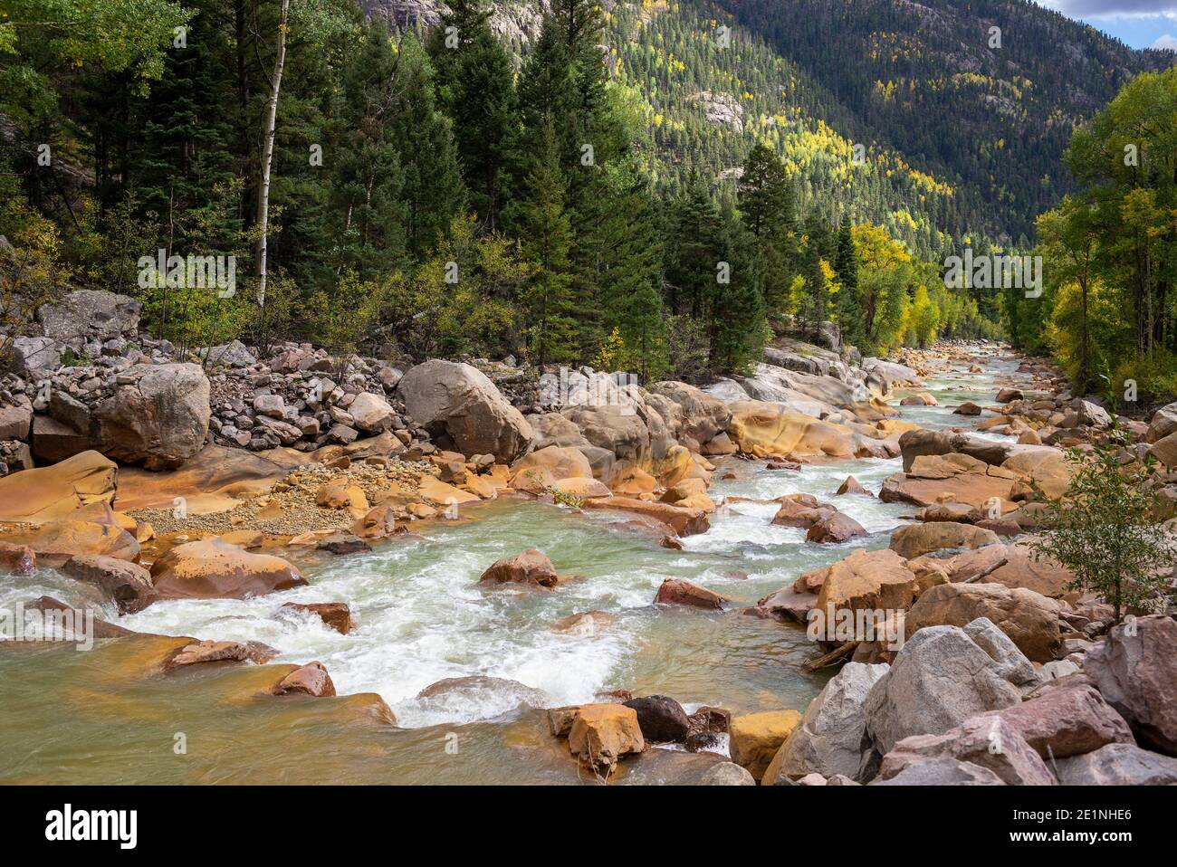 Die Durango und Silverton Schmalspurbahn folgt dem Verlauf des Animas River Valley durch den San Juan National Forest, Colorado, USA Stockfoto