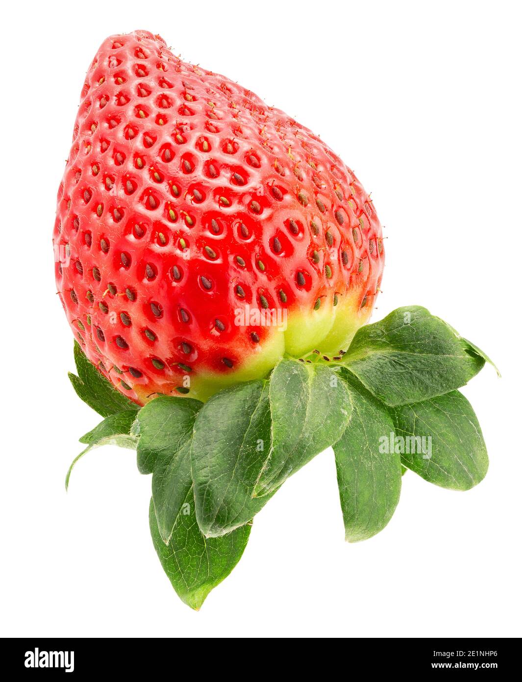 Erdbeere, isoliert auf einem weißen Hintergrund. Stockfoto