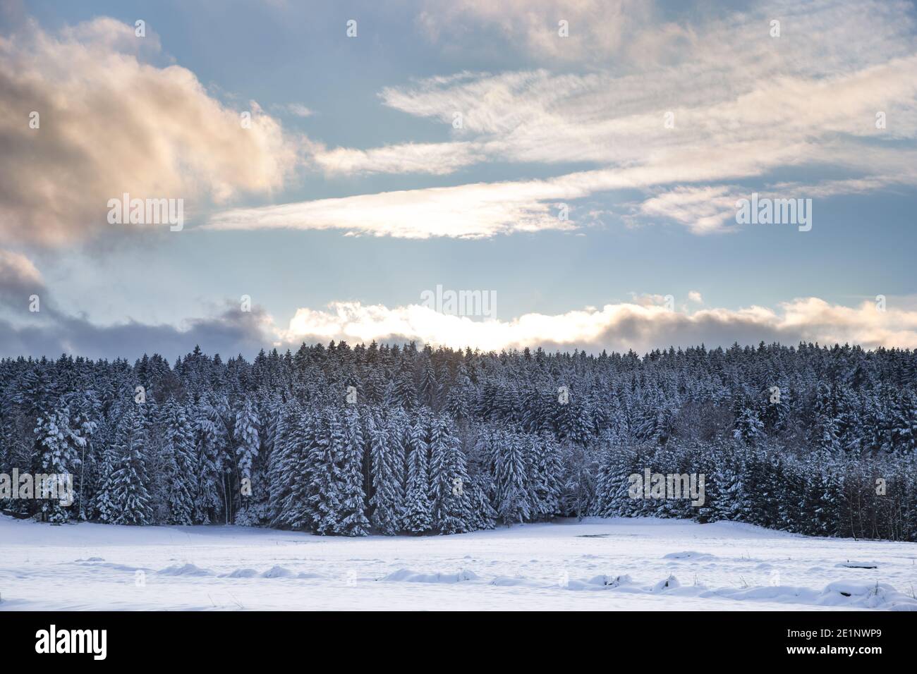 Winterwunderland im Waldviertel, Österreich Stockfoto