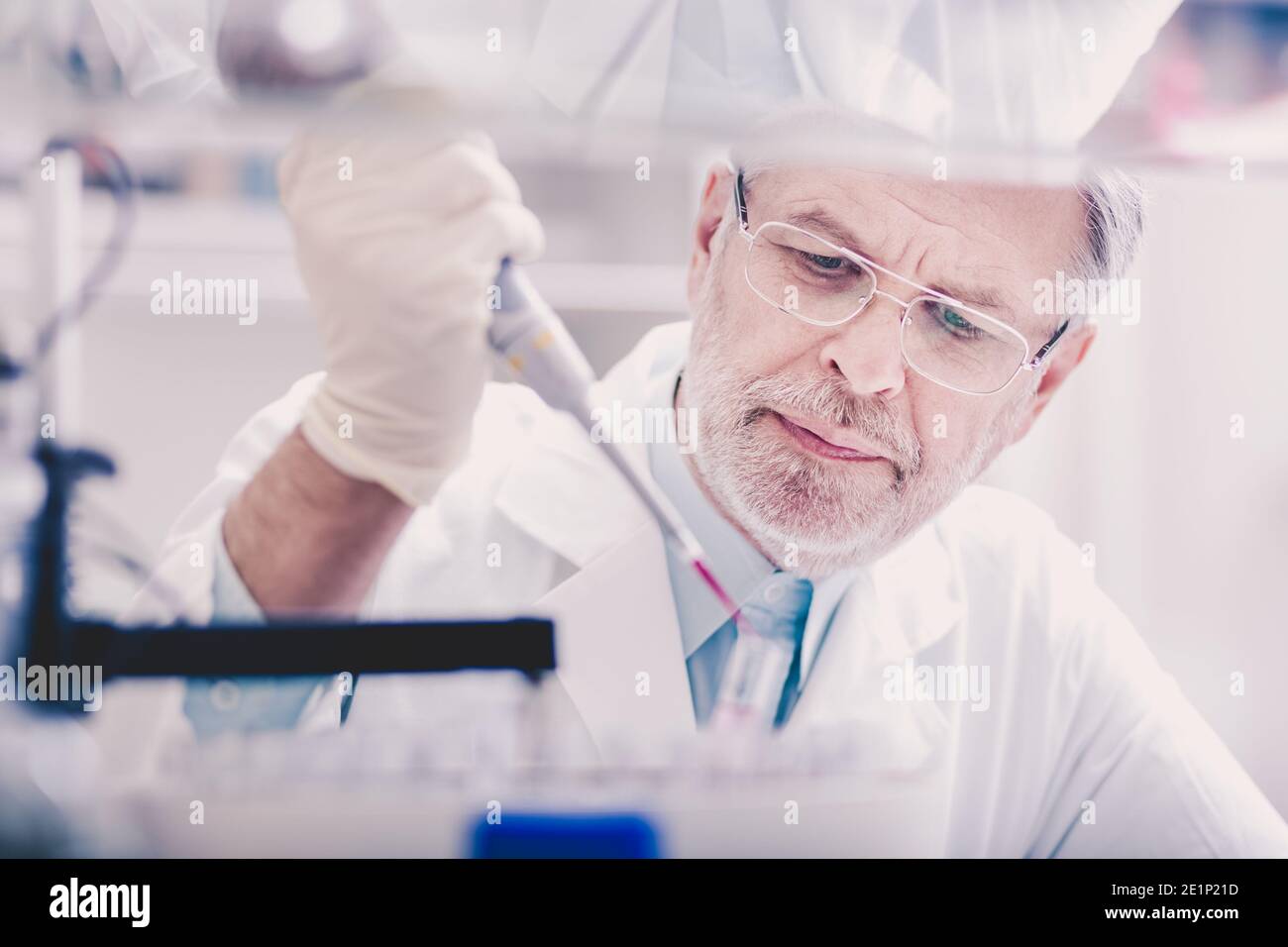 Lebens-Wissenschaftler forschen im Labor. Stockfoto