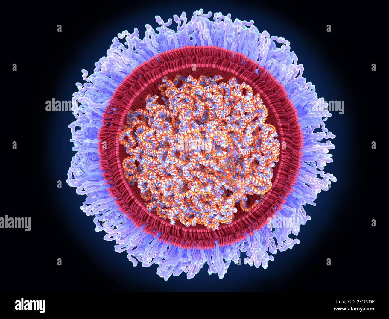 Covid-19 RNA-Impfstoff, Abbildung Stockfoto