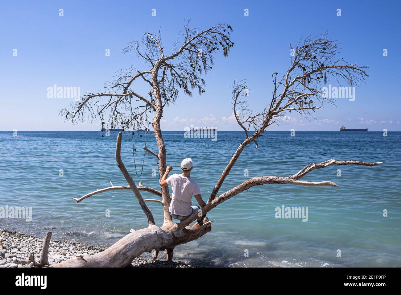 Malerische Sommerlandschaft an einem Steinstrand. Blick aufs Meer, ein Mann sitzt auf einem umgestürzten Baum am Ufer, und Frachtschiffe am Horizont Stockfoto