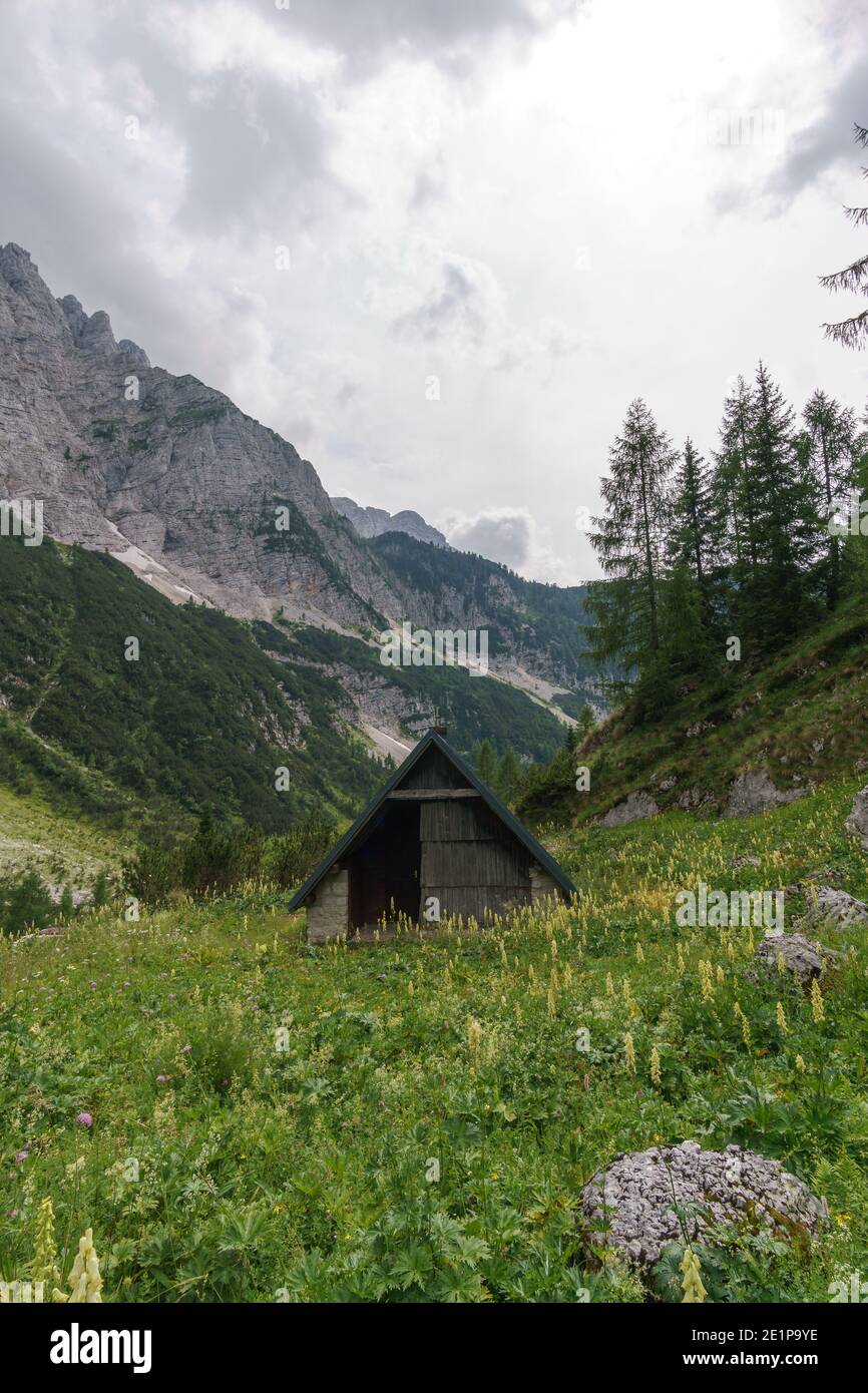 Idyllische Alpenscheune auf Wiese in den slowenischen alpen Stockfoto