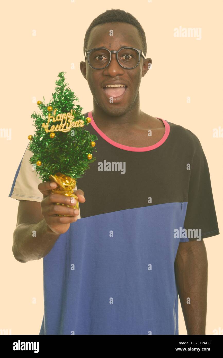 Happy afrikanischer Mann lächelnd und suchen halten Frohes Neues Jahr Tree begeistert Stockfoto
