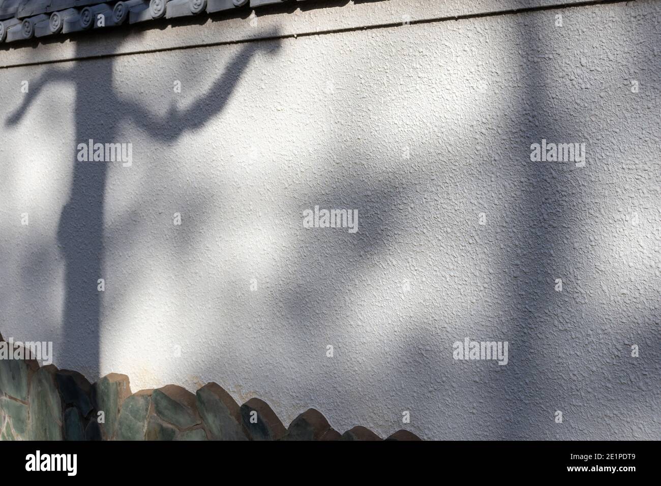 Der Schatten eines Baumes auf einer Steinmauer erinnert an ein klassisches javanesisches Puppenspiel. Stockfoto