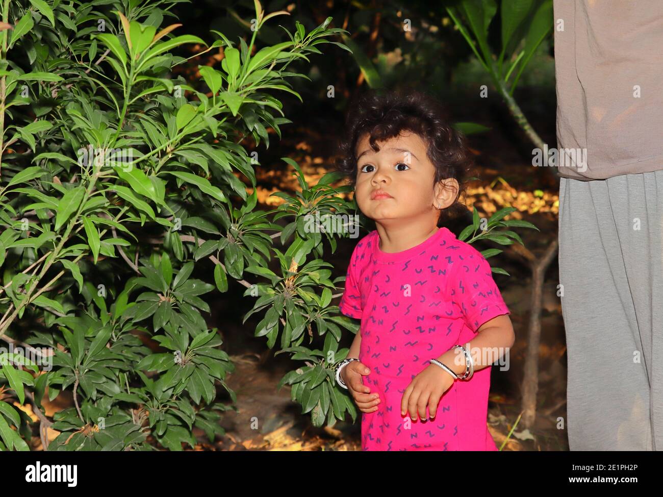 Ein schönes indisches Kind lächelt an der Chiku-Pflanze im Garten, indisches Kinderporträt im Garten Stockfoto
