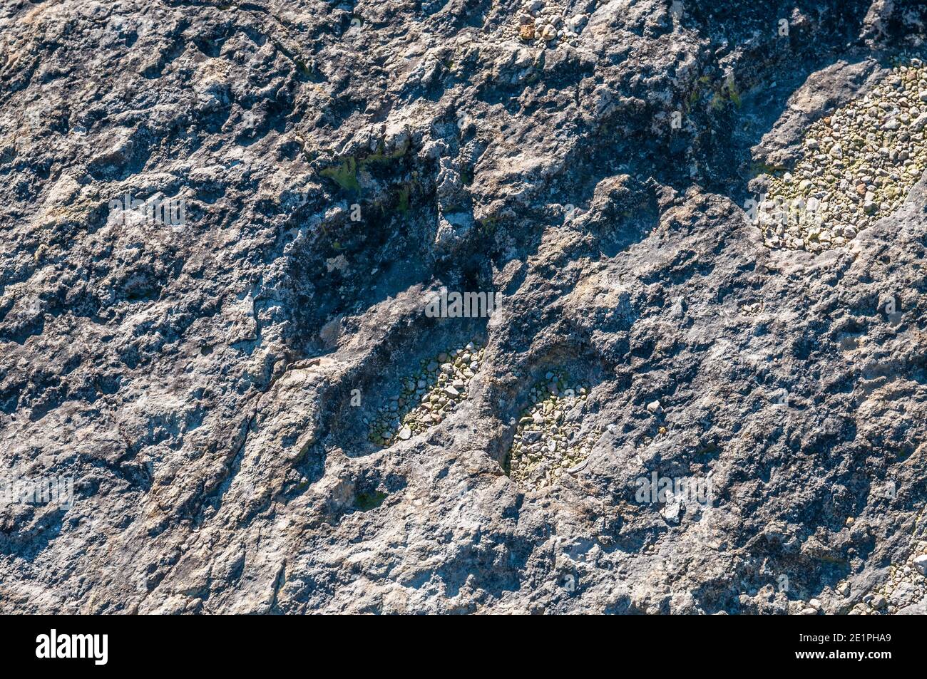 Ichnite, fossile Spur, Fußabdruck, Enteledon, Sant Mateu de Bages, Katalonien, Spanien Stockfoto