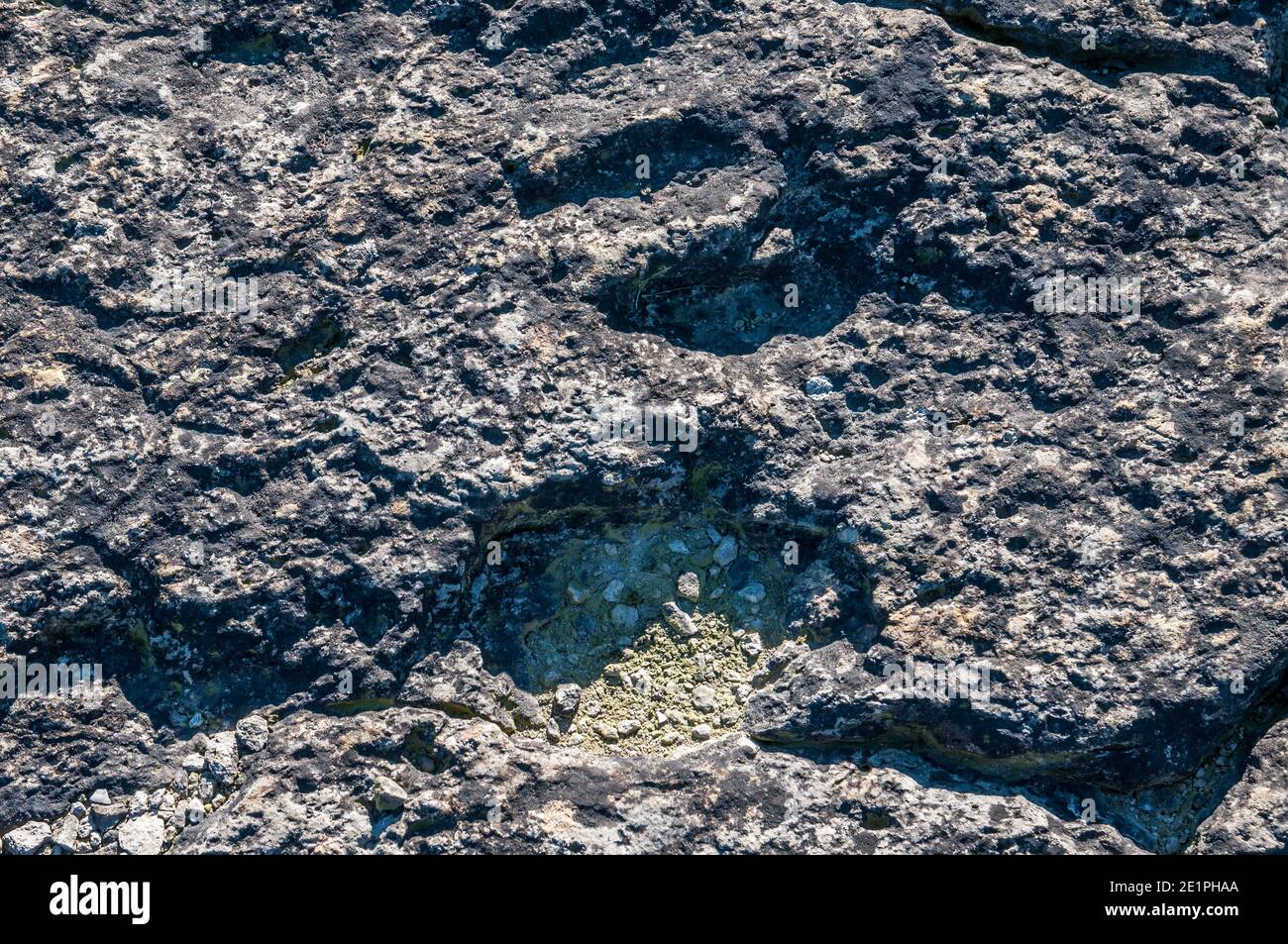 Ichnite, fossile Spur, Fußabdruck, Enteledon, Sant Mateu de Bages, Katalonien, Spanien Stockfoto