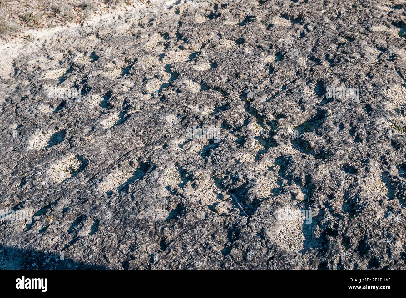 Ichnite, fossile Spur, Fußabdruck, Enteledon, Sant Mateu de Bages, Katalonien, Spanien Stockfoto