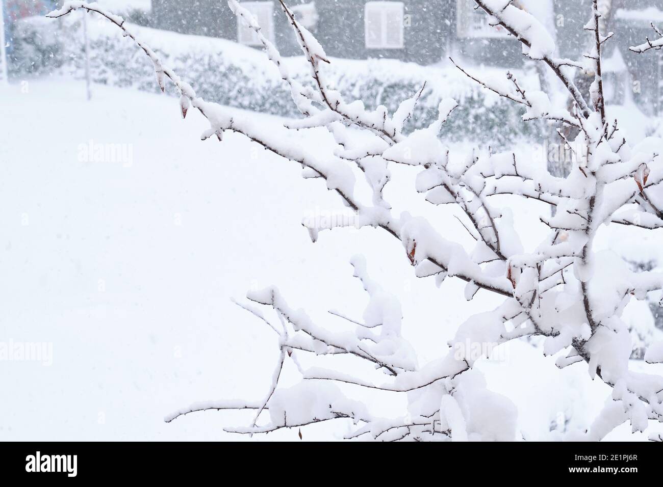 Schneesturm, Schneesturm auf einer Nachbarschaft. Schneit im Winter. Januar 2021 in Madrid, Spanien. Stockfoto