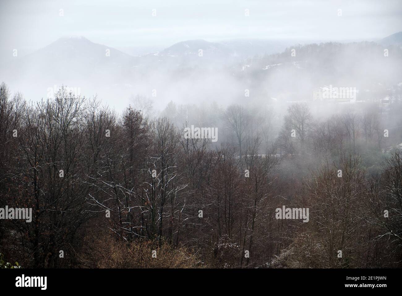 Der Nebel fällt flussabwärts durch die Wälder der Berge Stockfoto