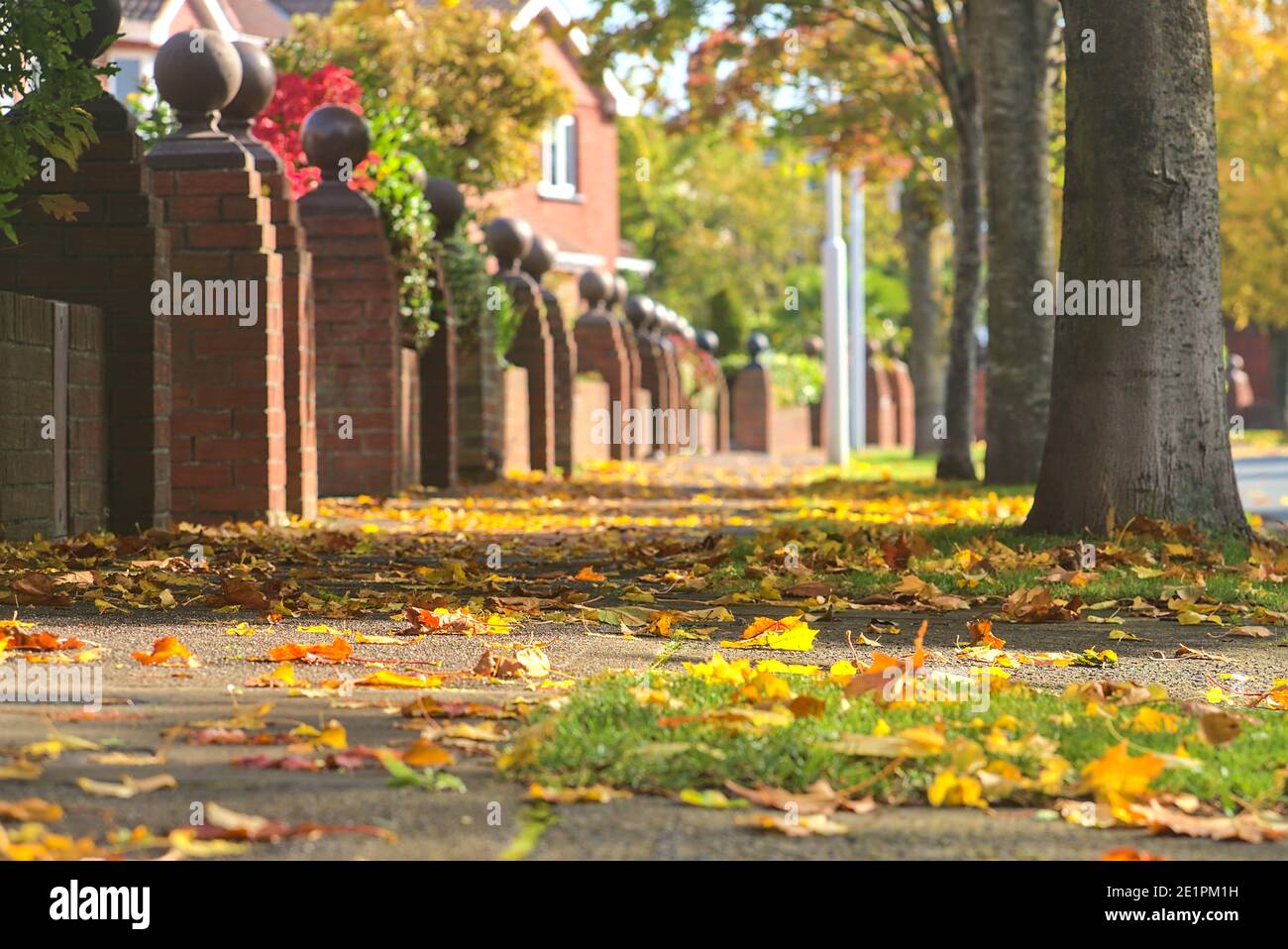 Wunderschöne herbstliche niedrige Boden Nahaufnahme von Bürgersteig mit vielen bunten Blätter fallen auf den Bäumen, Ballinteer, Dublin, Irland. Jahreszeiten Ändern Sich Stockfoto