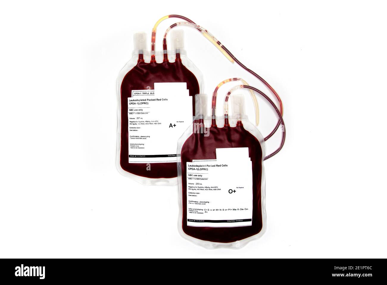 Beutel mit frischem Blut oder verpackten roten Zellen, isoliert auf weißem Untergrund. Bluttransfusion. Stockfoto