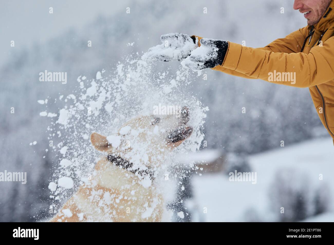 Junger Mann mit glücklichen Hund im Winter. Haustierbesitzer mit seinem labrador Retriever spielt im Schnee in der wunderschönen Natur. Stockfoto