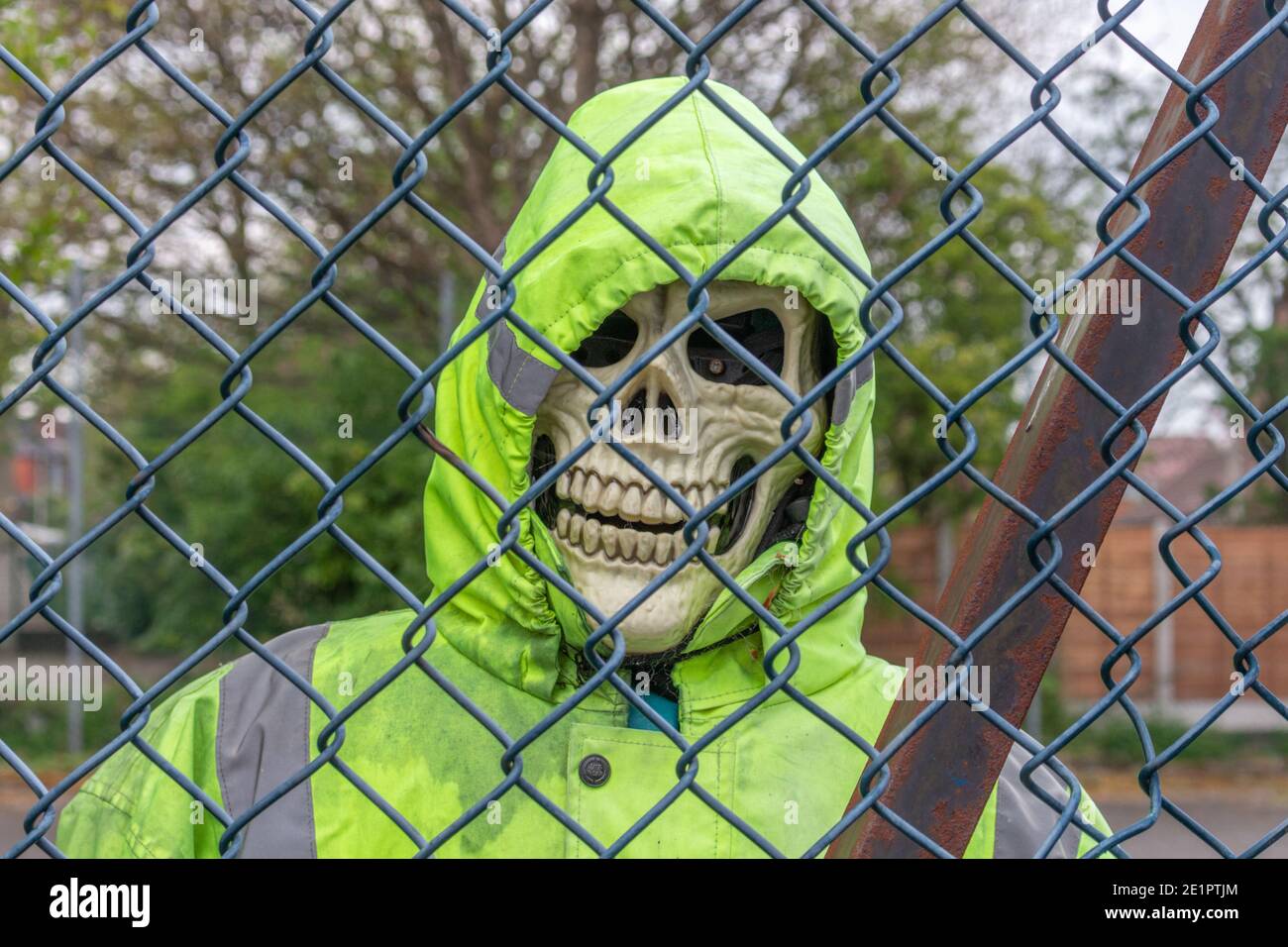 Schädel aus Skelett in grün High-Visibility Jacke und Kapuze, durch Parkplatz Metallzaun gesehen. Stockfoto