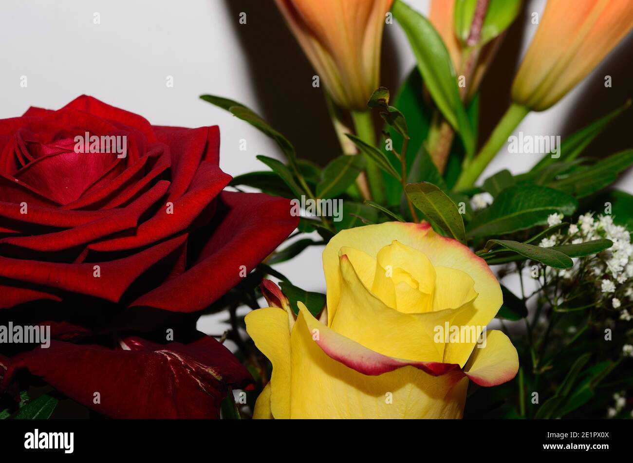 Bunte duftende Rosen in einem Bouquet Stockfoto