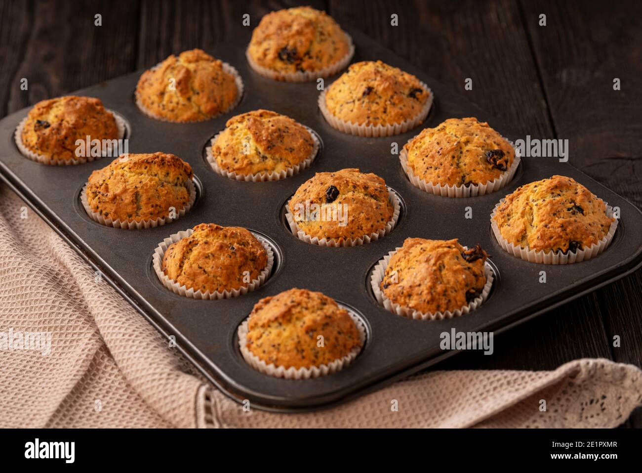 Hausgemachte Chiasamen und Cranberry-Muffins. Stockfoto