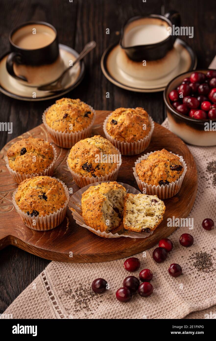 Hausgemachte Chiasamen und Cranberry-Muffins. Stockfoto