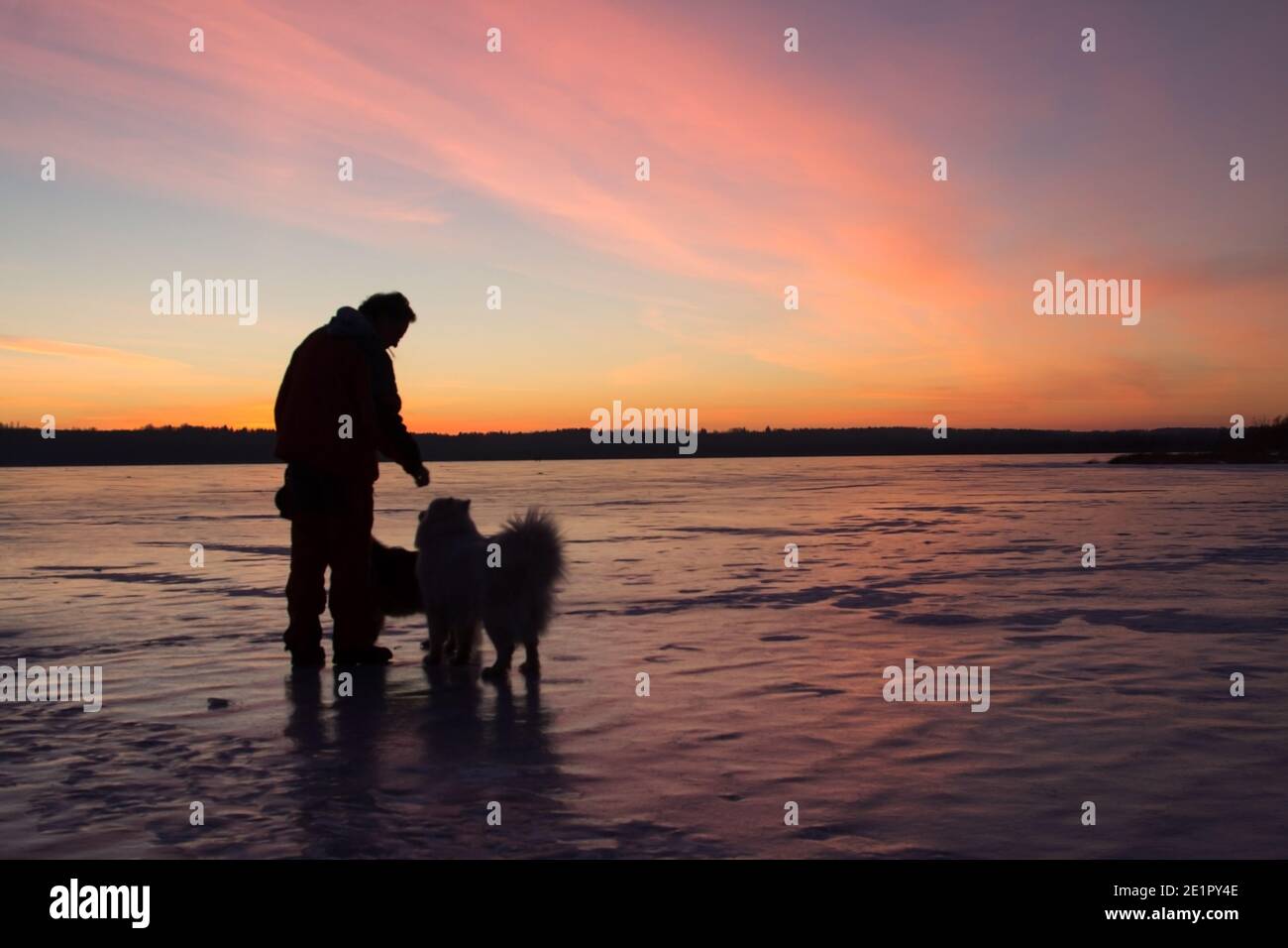 Silhouette eines Mannes und zwei Hunde bei Sonnenuntergang auf dem Eis eines gefrorenen Sees. Stockfoto