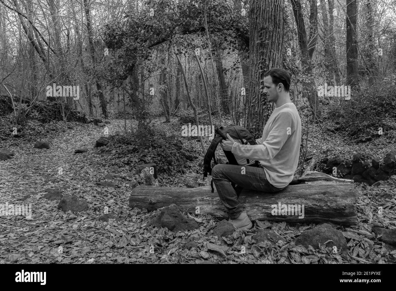 Mann sitzt mit Rucksack auf Holz in Forest.Stylish Wanderer Outdoor Lifestyle.Travel Fernweh concept.Black and white Fotografie mit Copy Space. Stockfoto