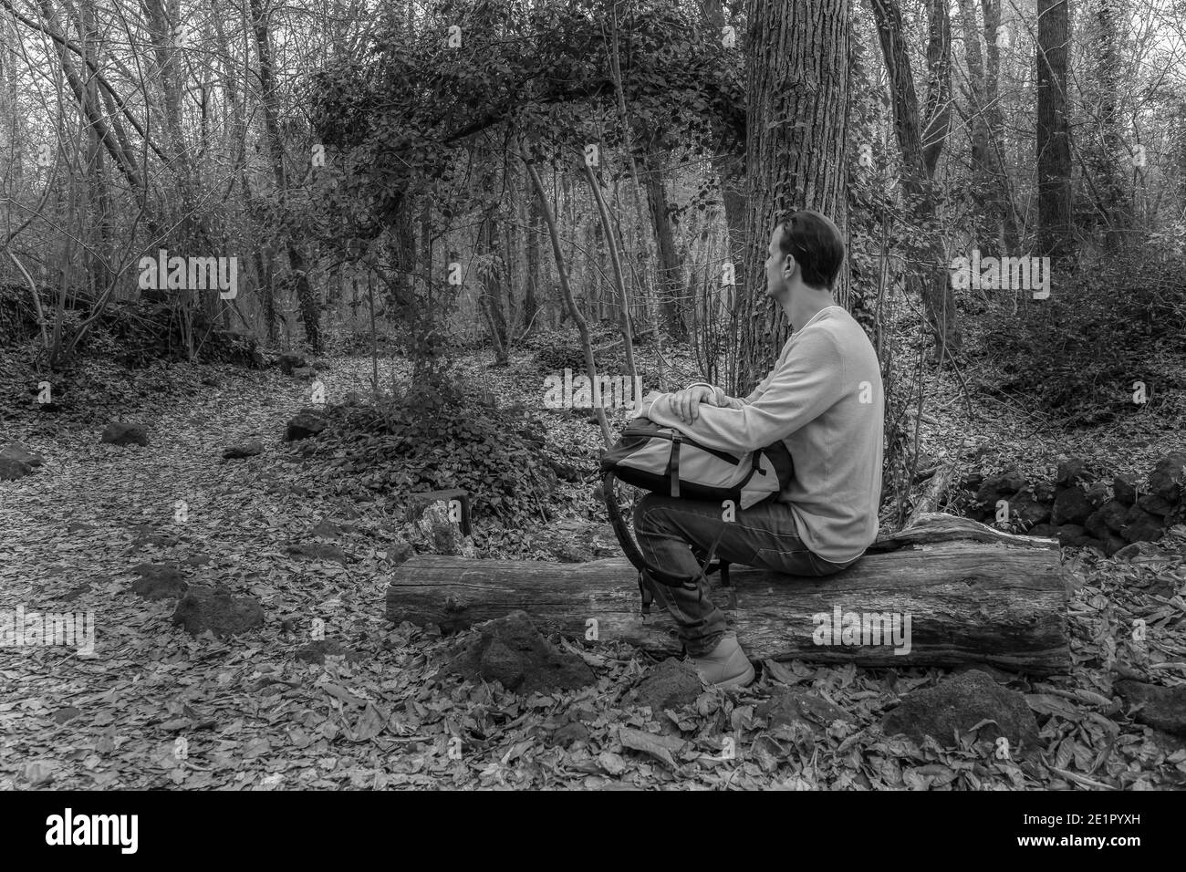 Mann sitzt mit Rucksack auf Wald Blick Horizont in Wald.Stylish Wanderer Outdoor Lifestyle.Travel Wanderlust Concept.Schwarz-weiß Fotografie wit Stockfoto