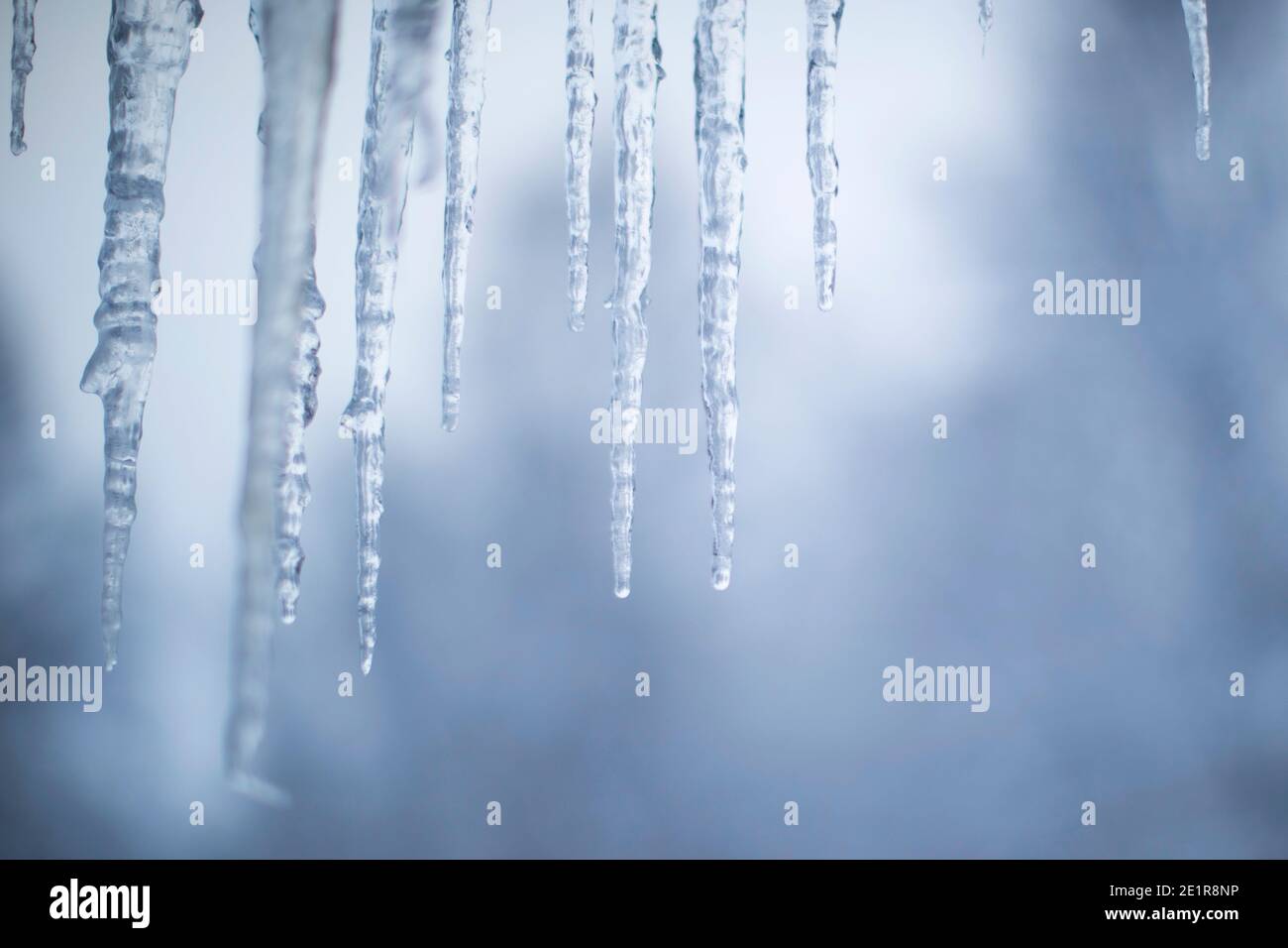 Eiszapfen Nahaufnahme Stockfoto