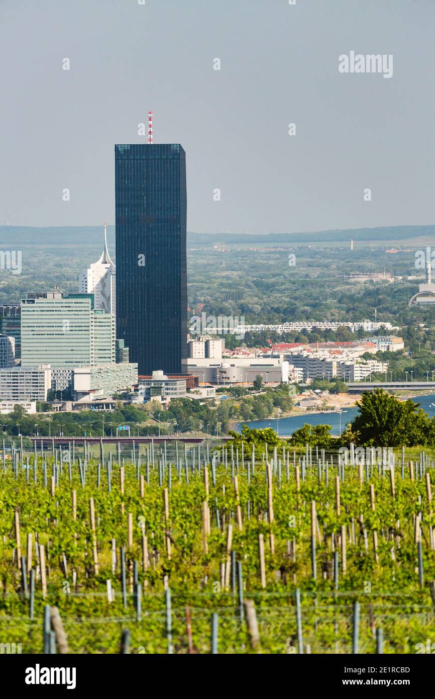 Blick von einem Weinhügel über Wien, Österreich auf die Donau, das Internationale Zentrum und Donaucity. Stockfoto