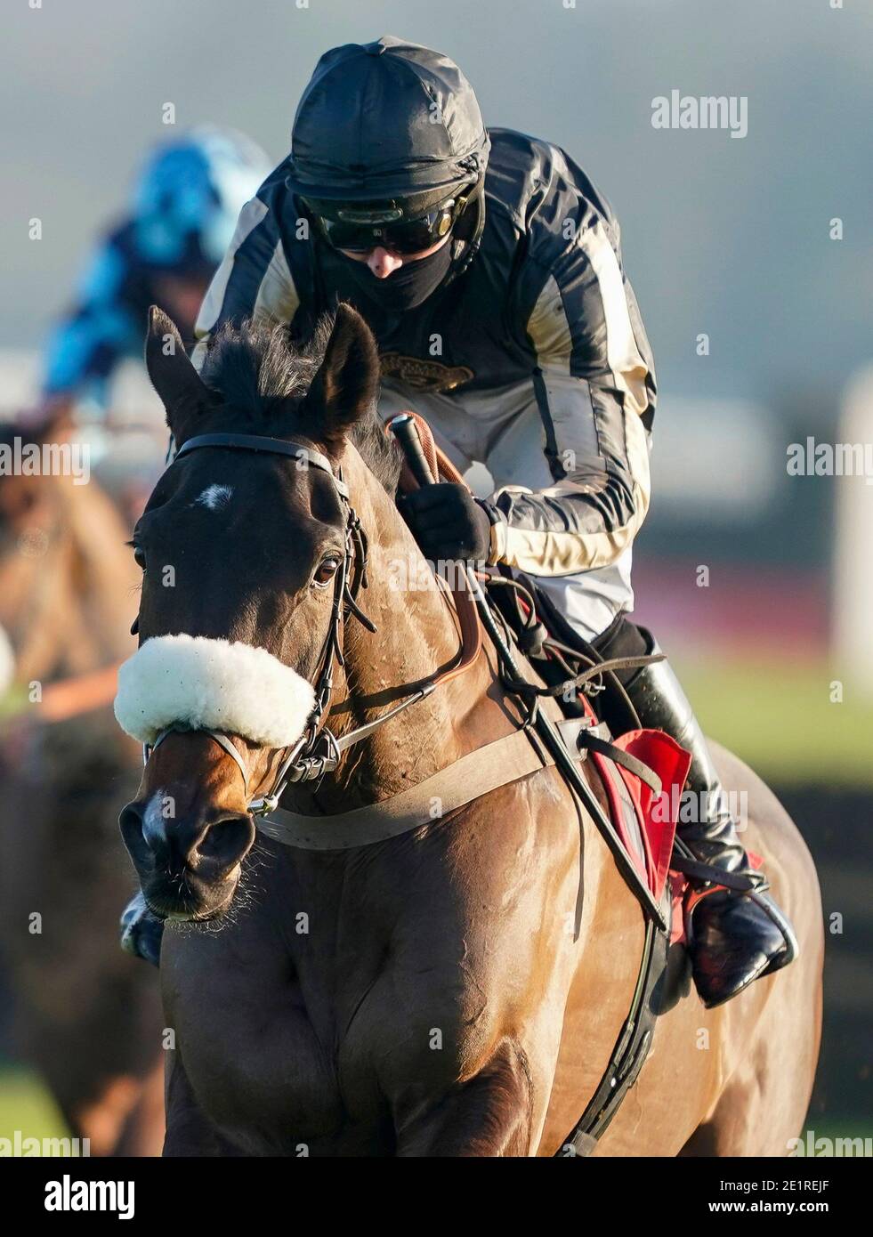 McFabulous von Harry Cobden geritten klar die letzte, die Dornan Engineering Relkeel Hürde zu gewinnen, auf Kempton Park Racecourse. Stockfoto