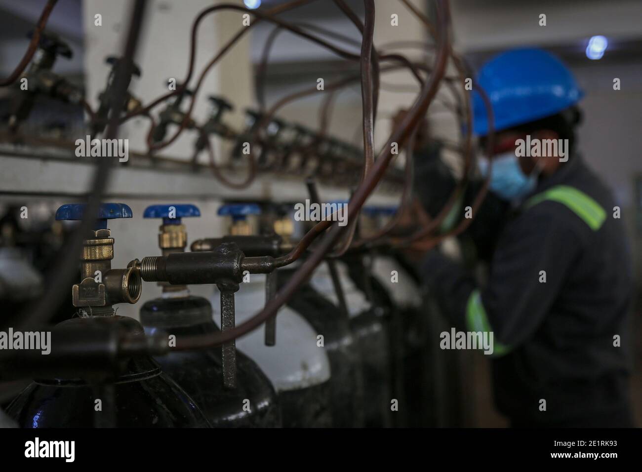 Sauerstoff Produzierend Stockfotos Und Bilder Kaufen Alamy