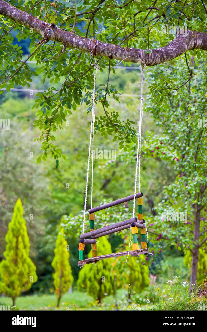 Alte hölzerne Schaukel auf dem Baum Stockfoto