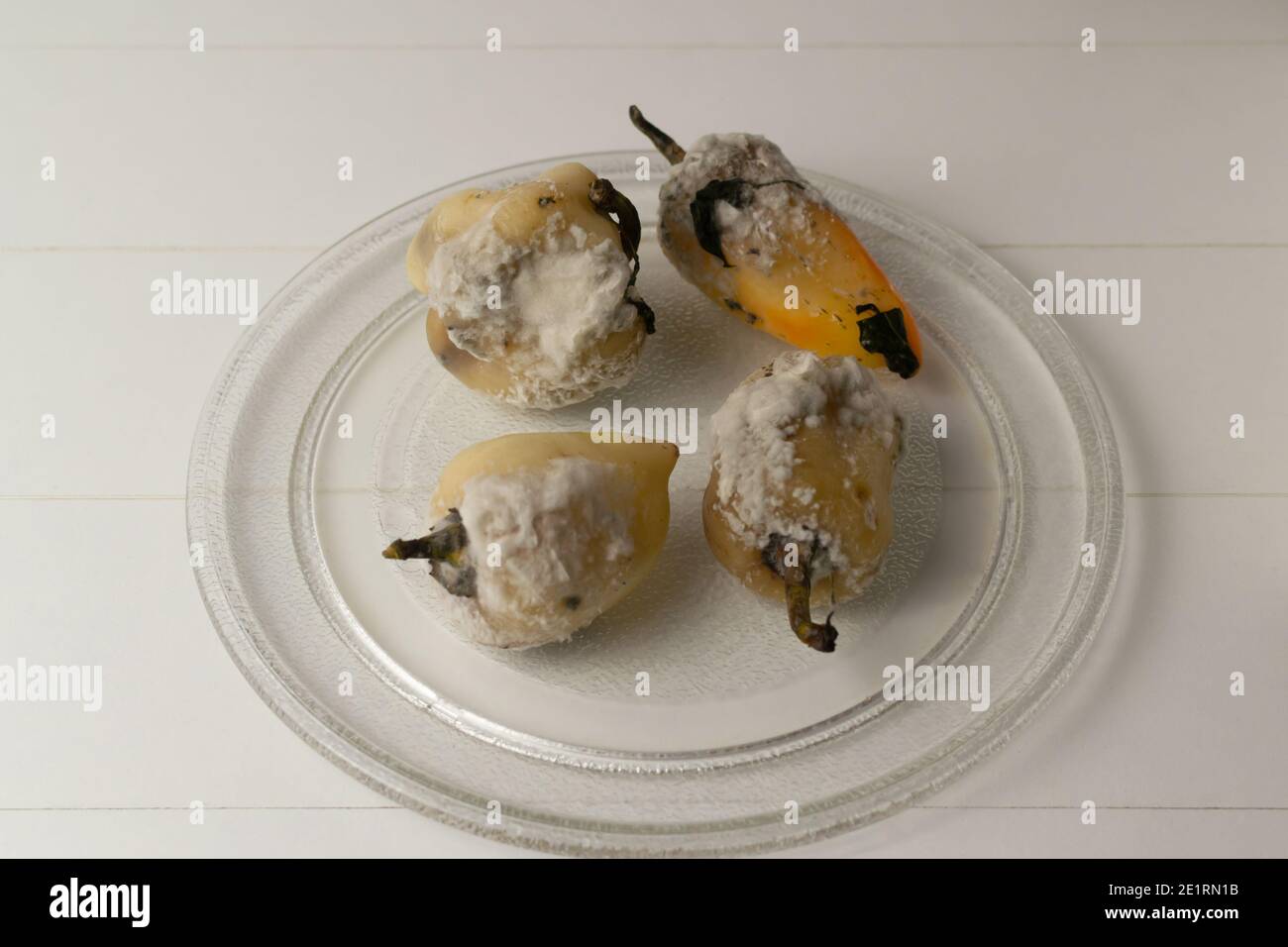 Verfaulte Paprika mit Schimmel auf einer Glasplatte auf weißem Hintergrund. Das Essen war verdorben. Konzept für Lebensmittelabfälle. Speicherplatz kopieren. Stockfoto
