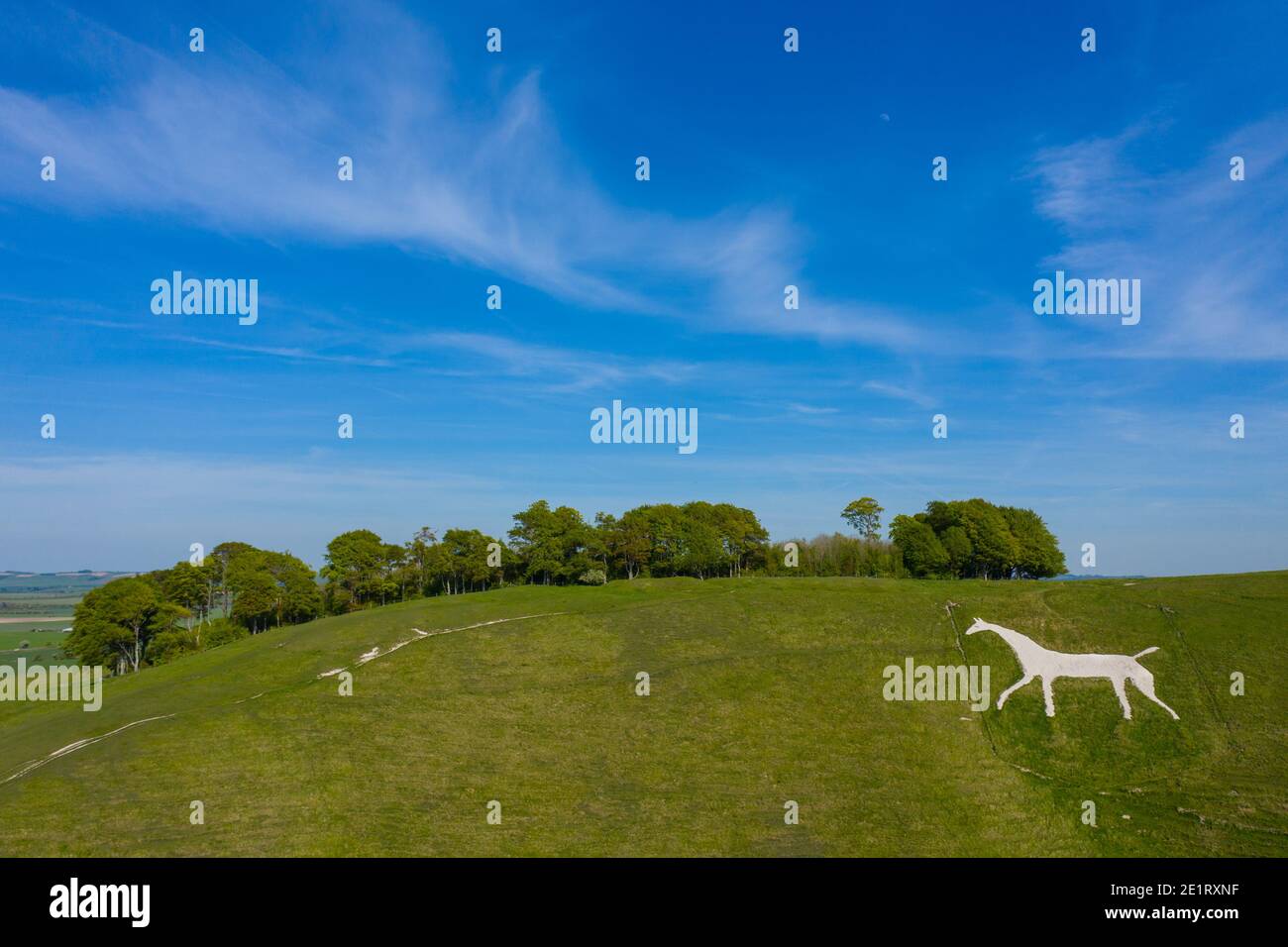 Die Cherhill White Horse Kreidehügelfigur in der Nähe von Calne, Wiltshire, England. Bild aufgenommen von Drohne. Stockfoto