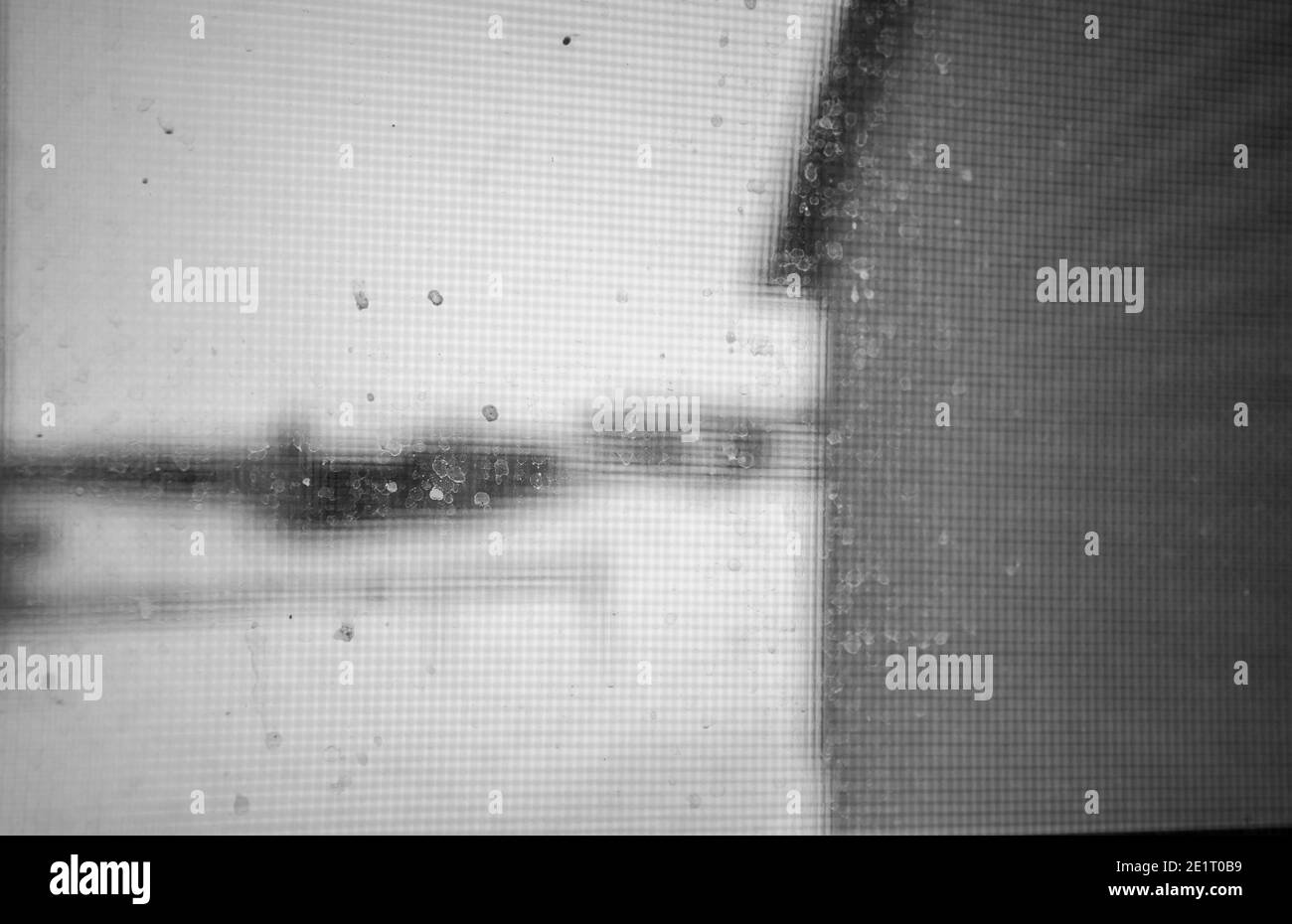 Schmutz und Dreck auf einem Küchenfenster Stockfoto