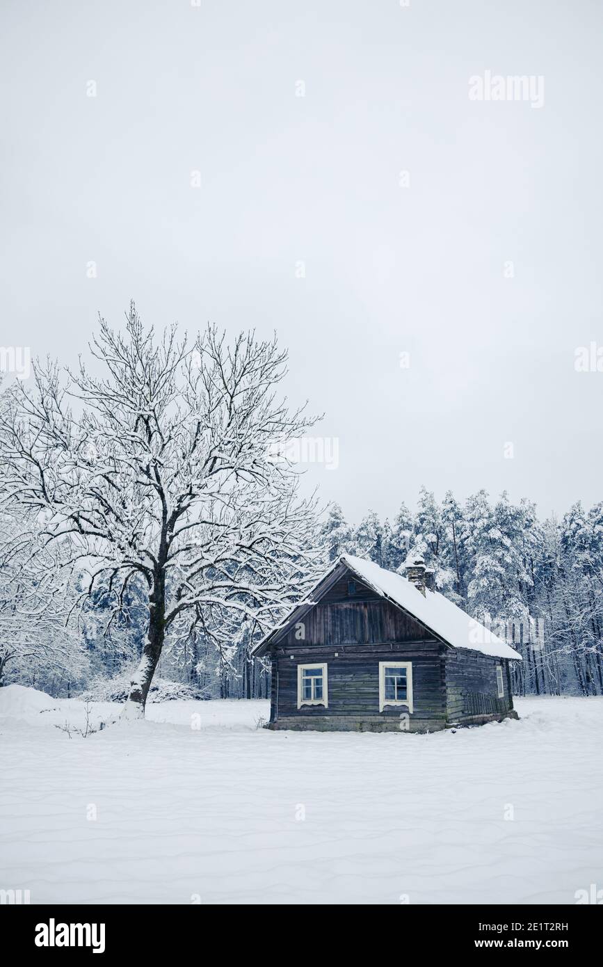 Schönes altes Dorfhaus mitten im schönen Winter mit viel weißem Schnee und Bäumen. Weihnachtszauber, Wintermärchen mit weißen Feldern. Stockfoto