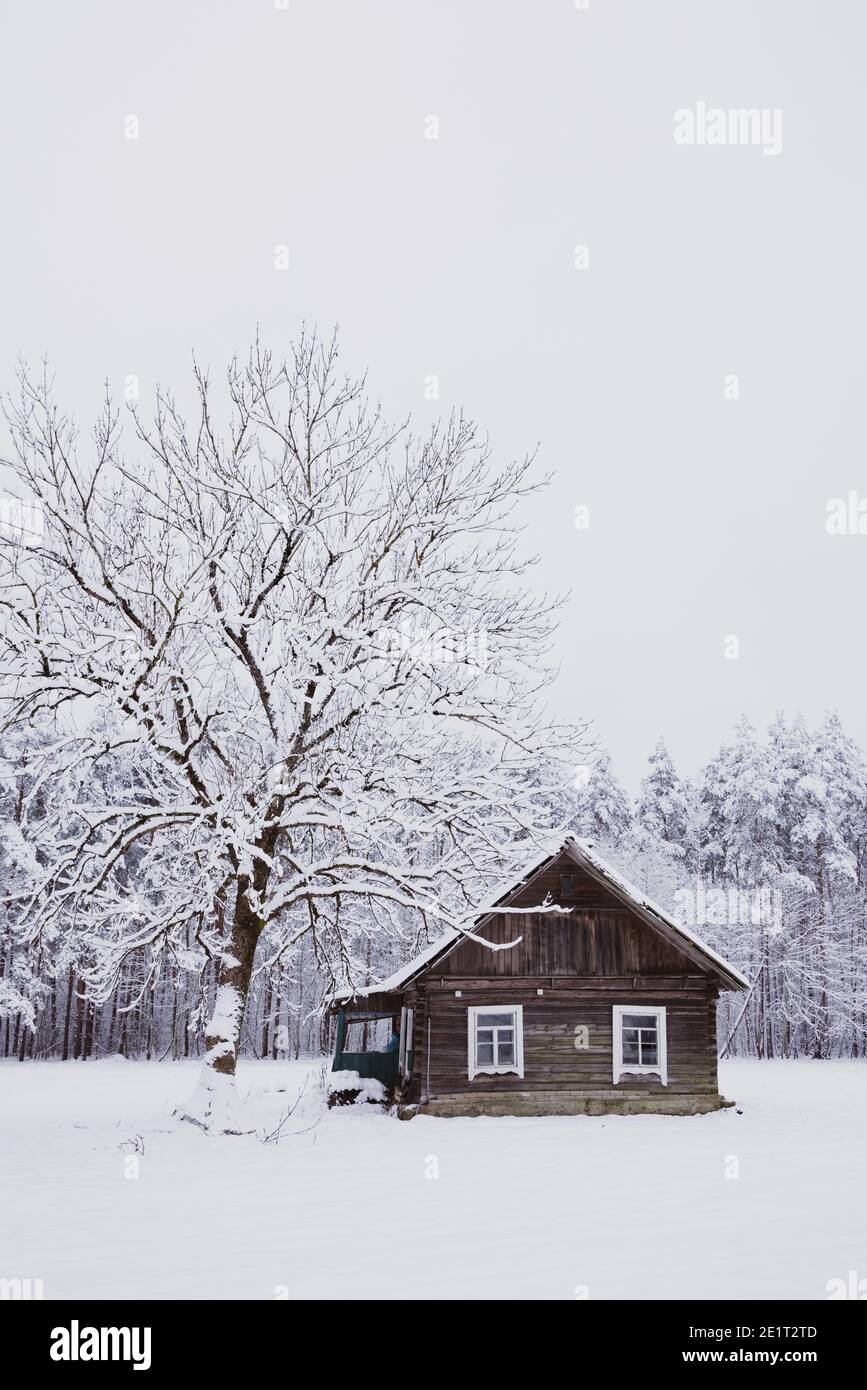 Schönes altes Dorfhaus mitten im schönen Winter mit viel weißem Schnee und Bäumen. Weihnachtszauber, Wintermärchen mit weißen Feldern. Stockfoto