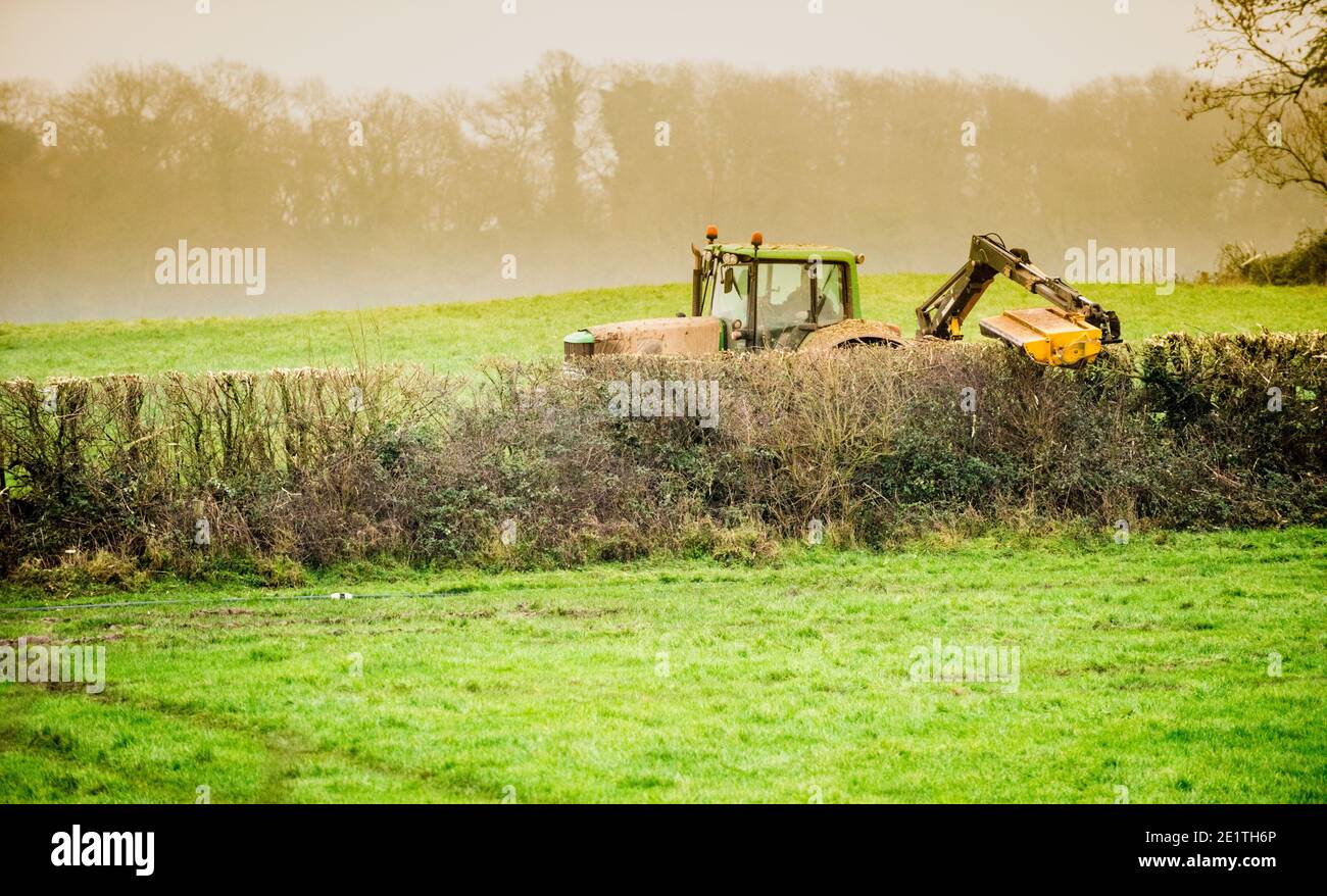 Ein Traktor mit einer montierten Heckenschere, die im Winter die Spitze einer einheimischen englischen Feldhecke mit Weißdorn, Schlehdorn und Ulme abzieht Stockfoto