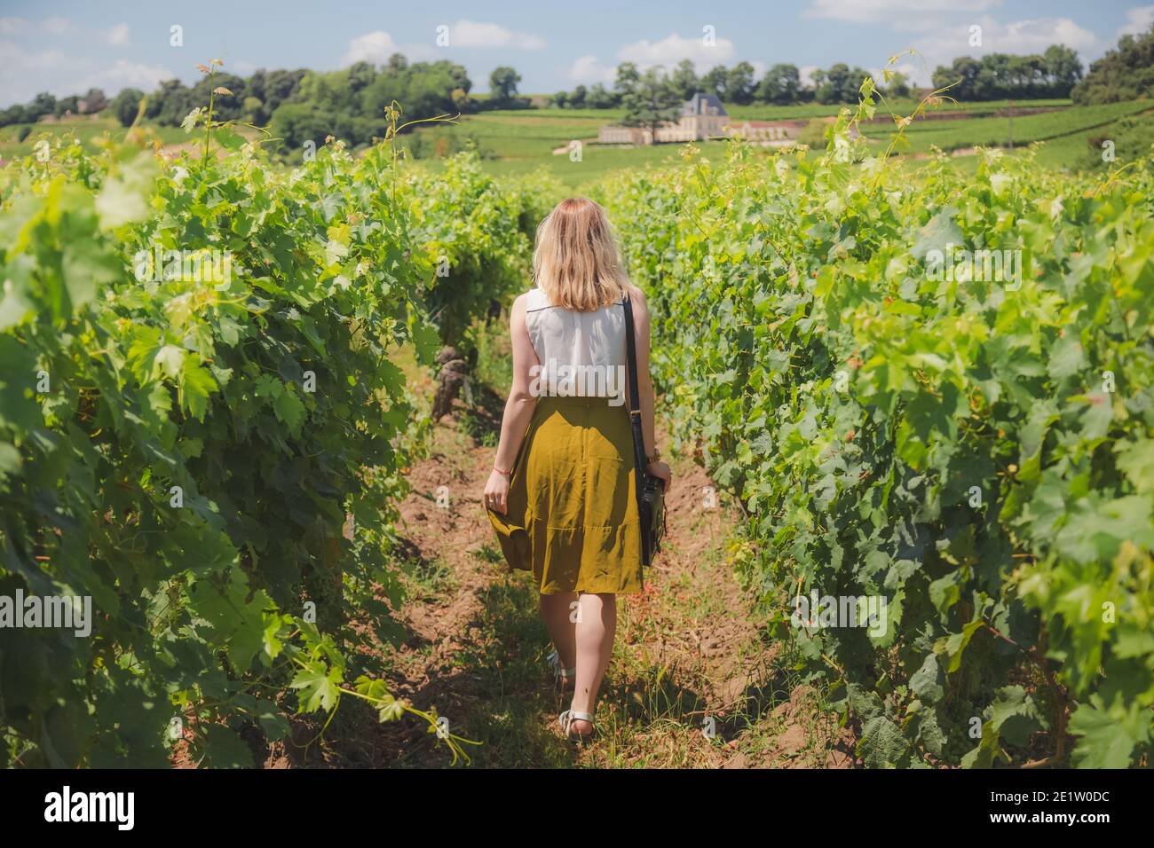 Eine junge Frau erkundet die Weinberge von Saint-Emilion in der französischen Region Bordeaux. Stockfoto