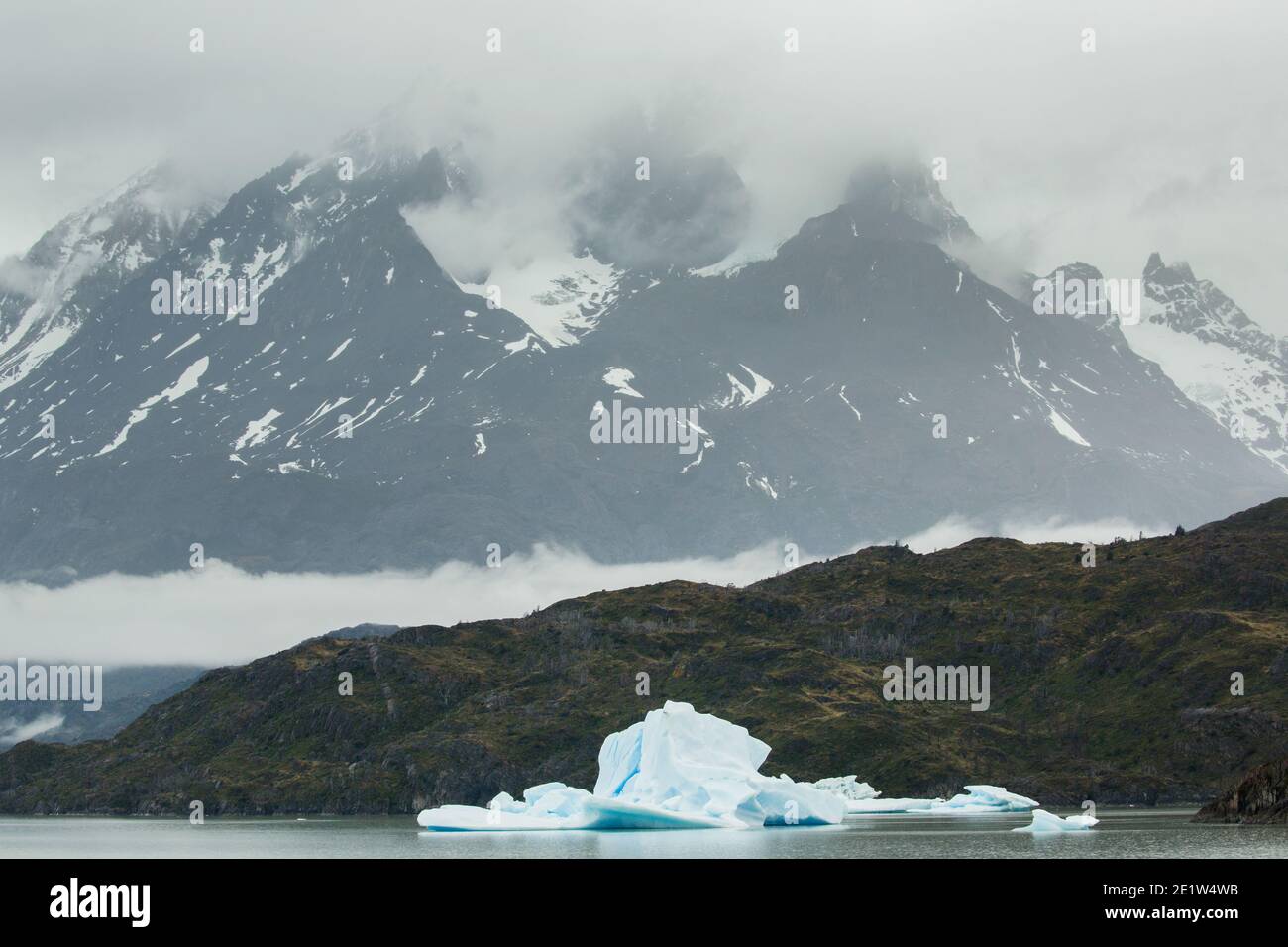 Schmelzende Eisberge, die vom Glacier Grey abgekalbt wurden, schwimmen