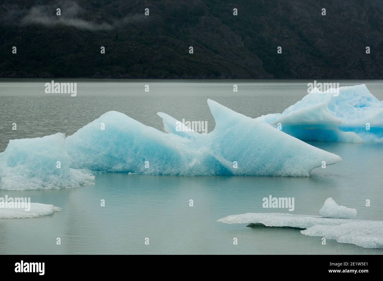 Eisberge, die vom Glacier Grey abgekalbt wurden, schwimmen in den Gewässern des Lago Grey, des Torres del Paine Nationalparks, Patagonien, Chile Stockfoto