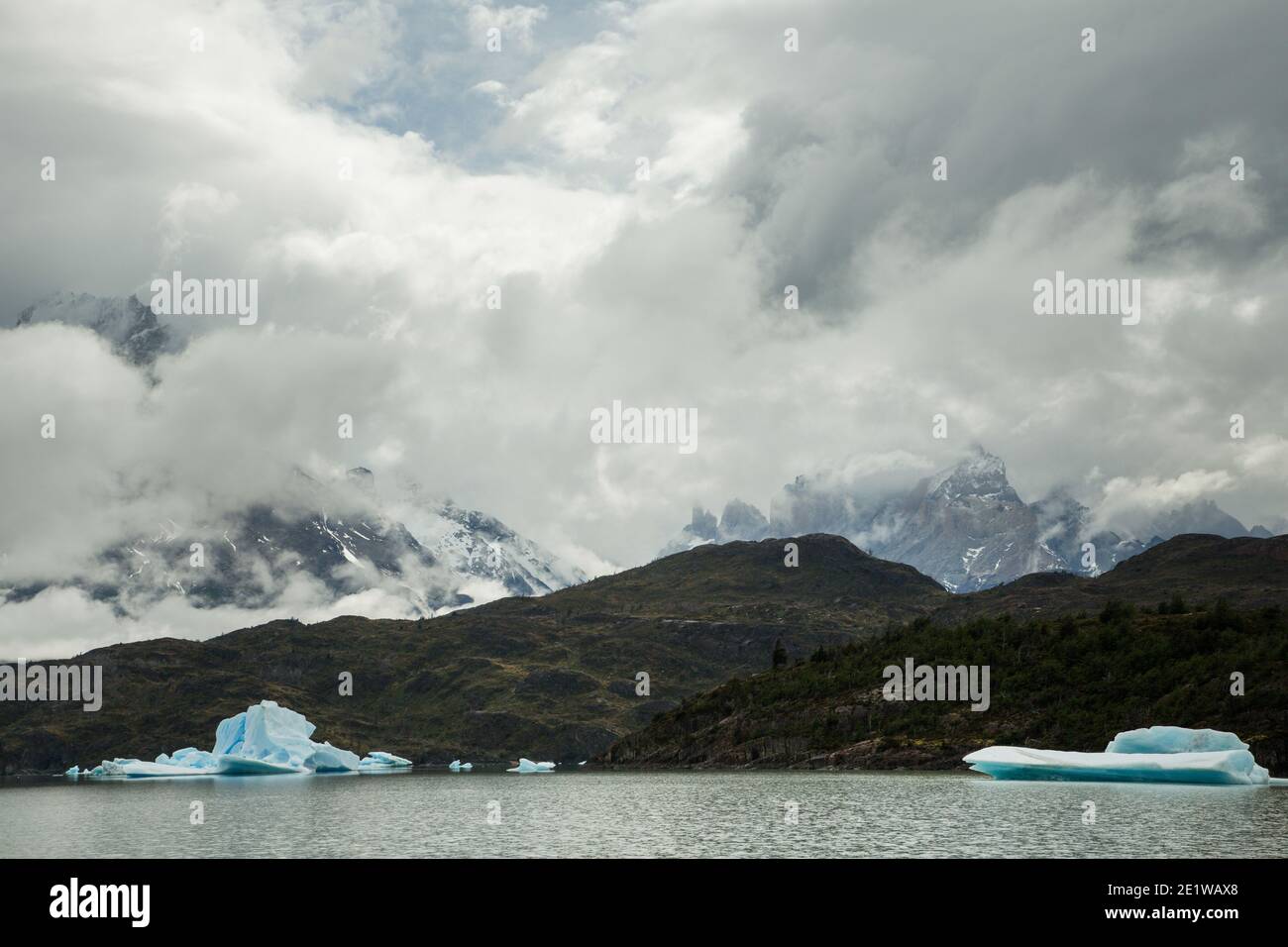 Große Eisberge, die vom Glacier Grey abgekalbt wurden, schwimmen im
