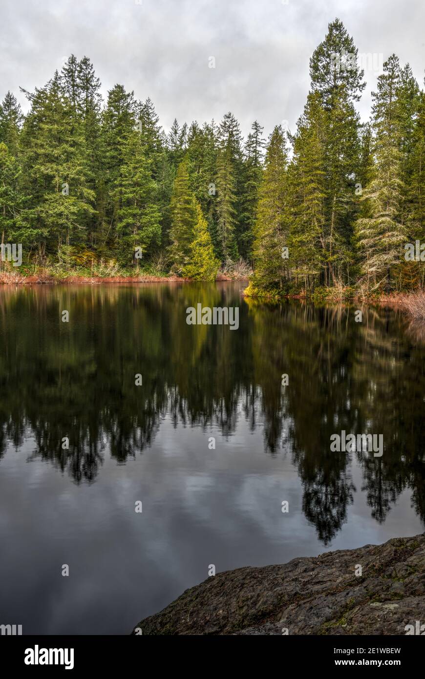 Grass Lake, Sooke Hills, Vancouver Island Stockfoto