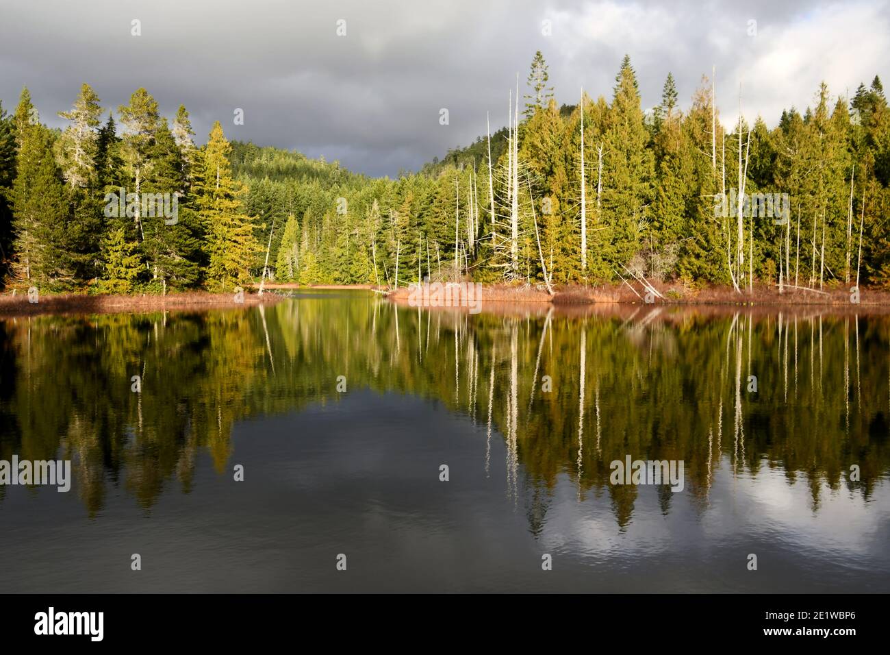 Grass Lake, Sooke Hills, Vancouver Island Stockfoto