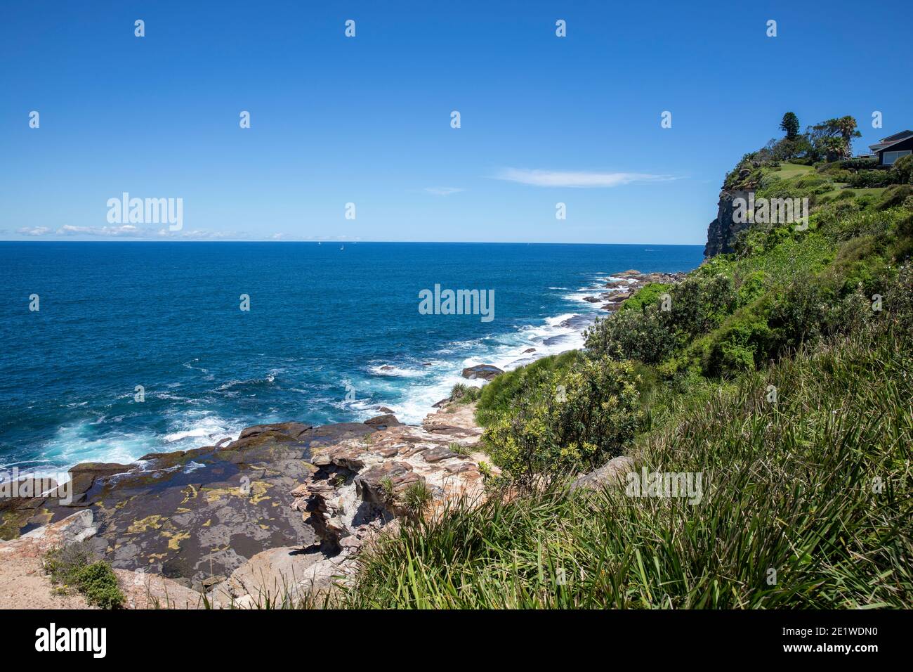 Bangalley Head am Avalon Beach an den nördlichen Stränden von Sydney, NSW, Australien Stockfoto