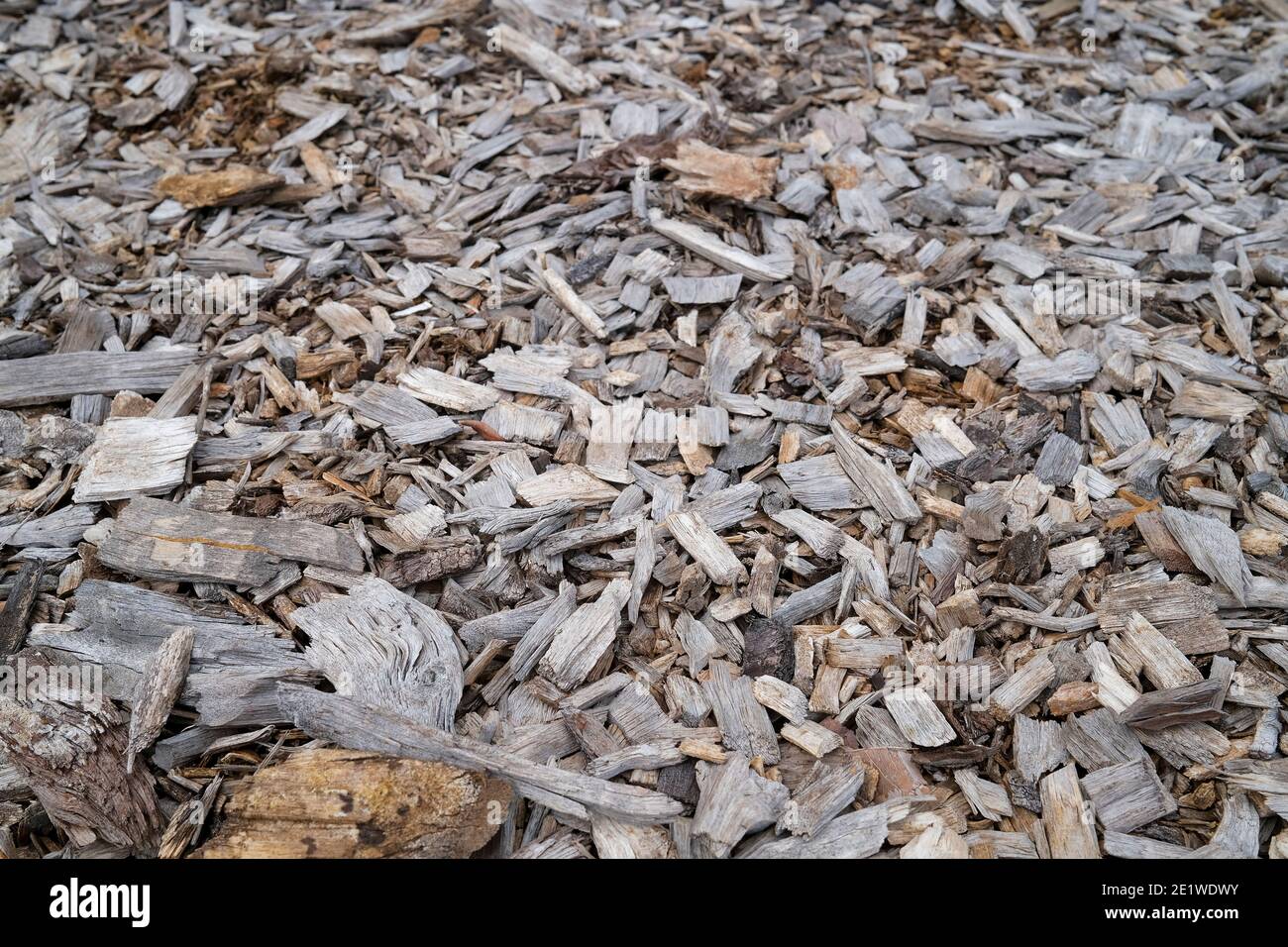 Hackschnitzel Mulch Stockfoto