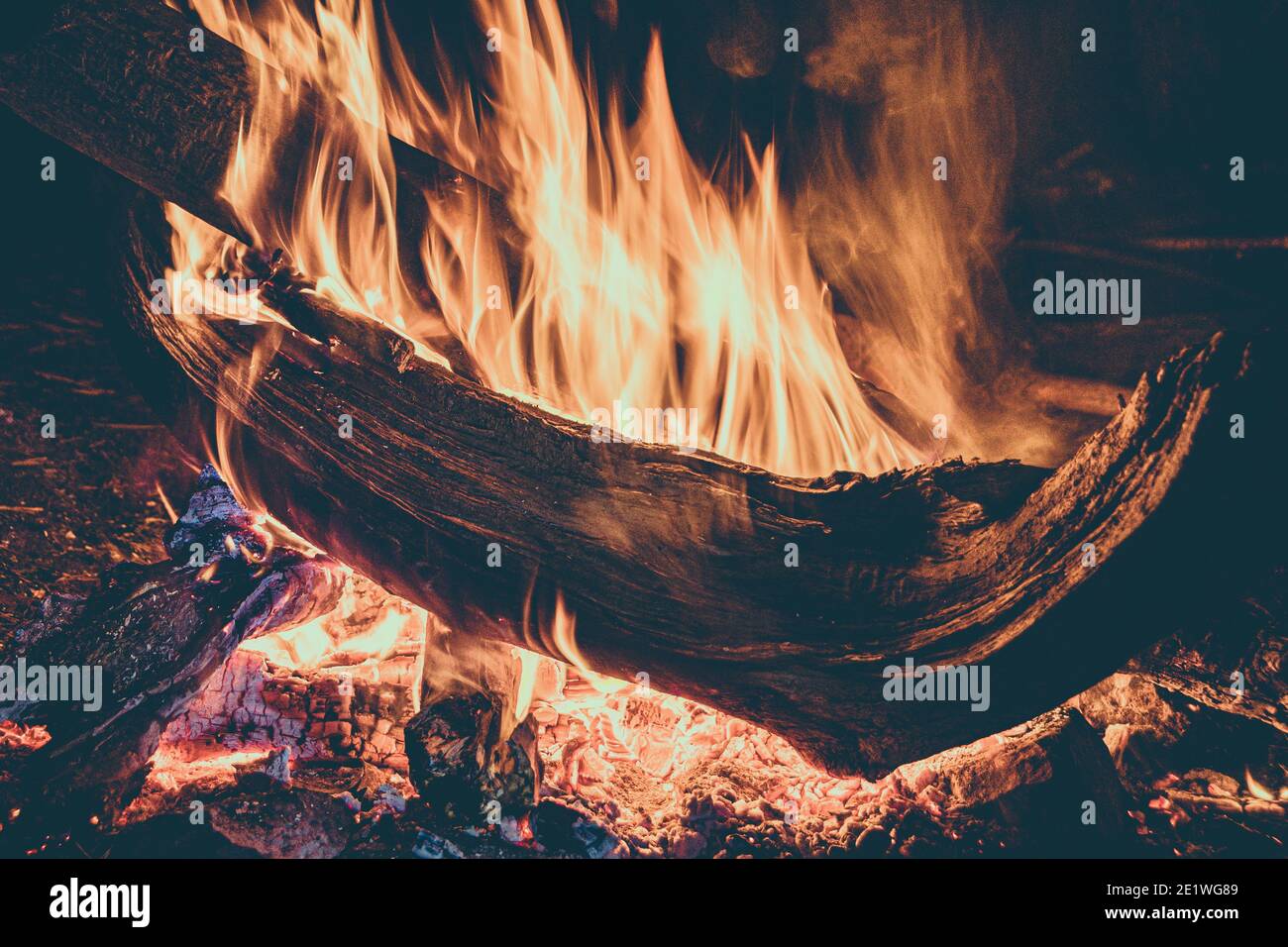 Holz brennt im Feuer. Feuer für bushcraft und Tourismus in der Nacht gibt Wärme und Licht. Stockfoto