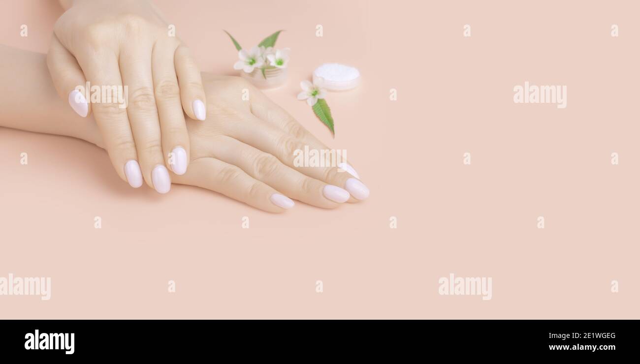 Schöne Frau Hände mit Blumen auf rosa Hintergrund. Konzept Handpflege, Anti-Falten, Anti-Aging-Creme, Kosmetik. Banner, Kopierraum, Close-Up Stockfoto