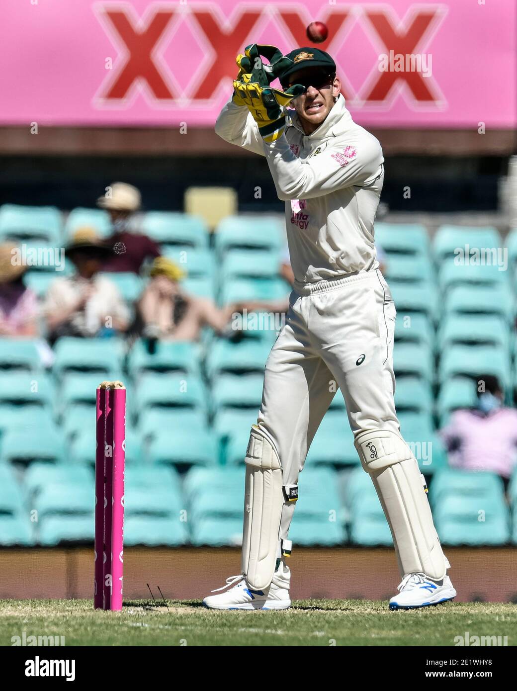 Sydney, Australien. Sydney, Australien. Januar 2021. Sydney Cricket. International Test Cricket, Third Test Day Four, Australien gegen Indien; Tim Paine of Australia fängt den Ball Kredit: Action Plus Sports Images/Alamy Live News Kredit: Action Plus Sports Images/Alamy Live News Stockfoto