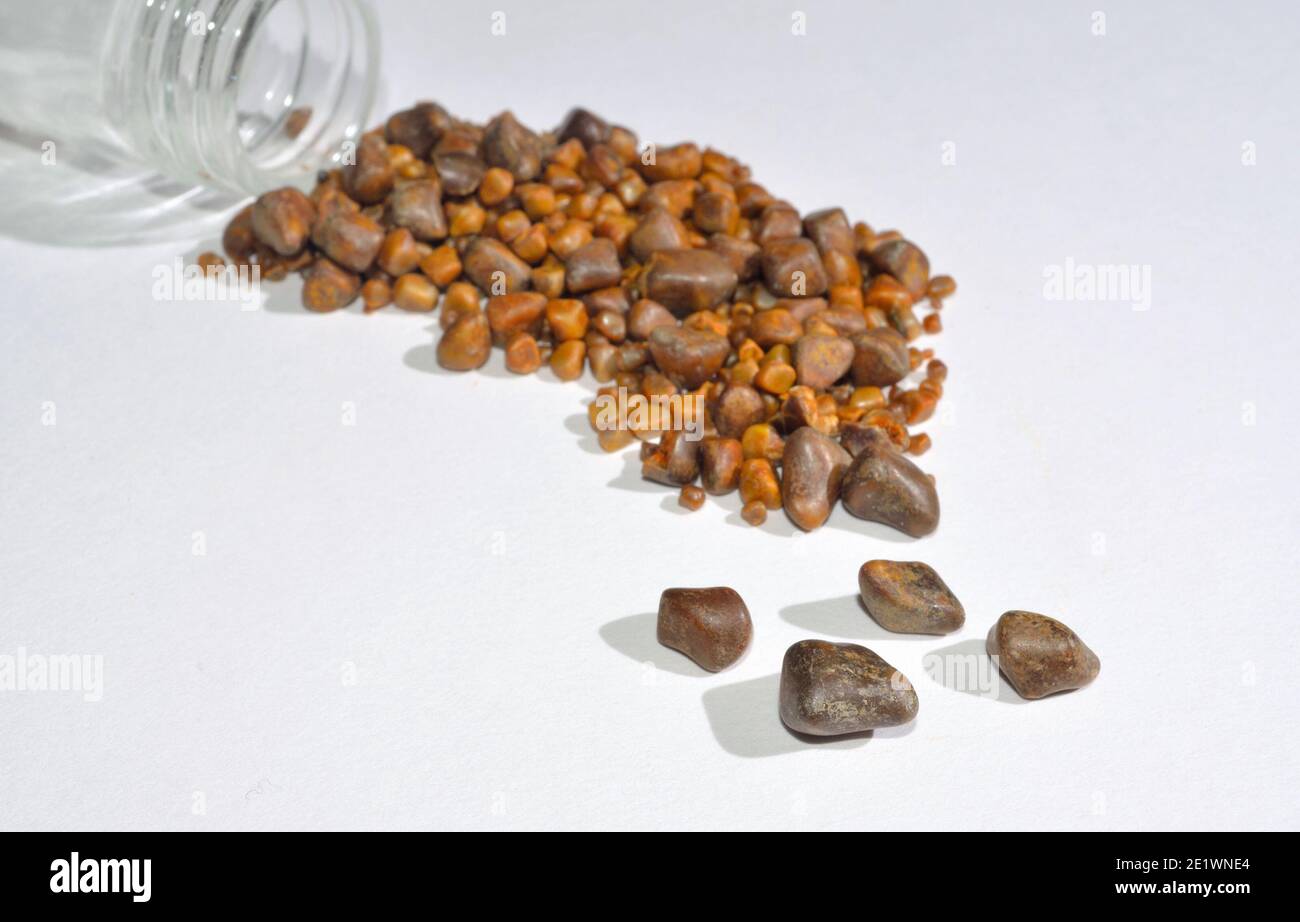 Gallensteine und Muster Glas, Steine aus einem einzigen Betrieb auf weißem Hintergrund. Stockfoto